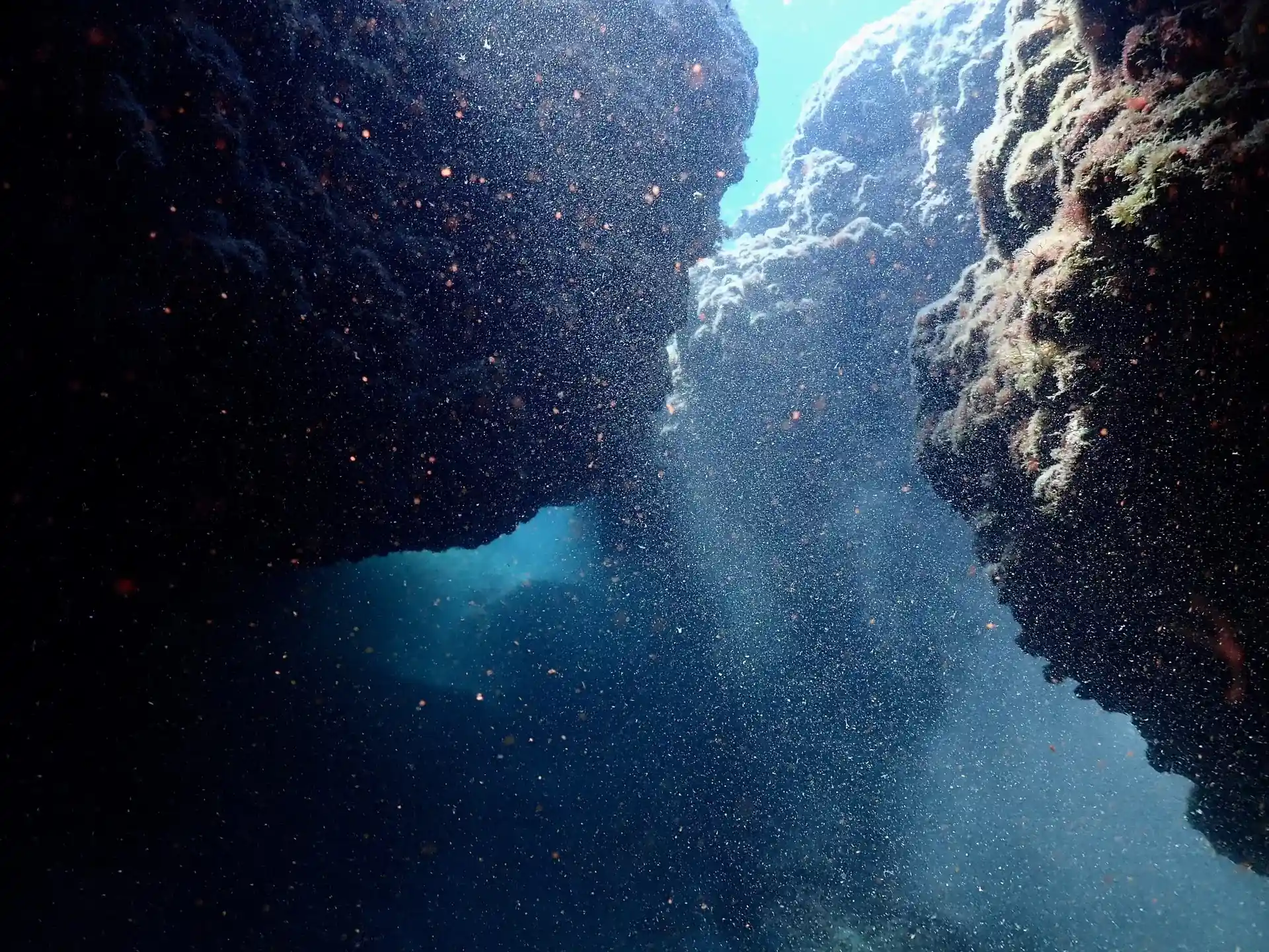 ダイビングサイトの写真