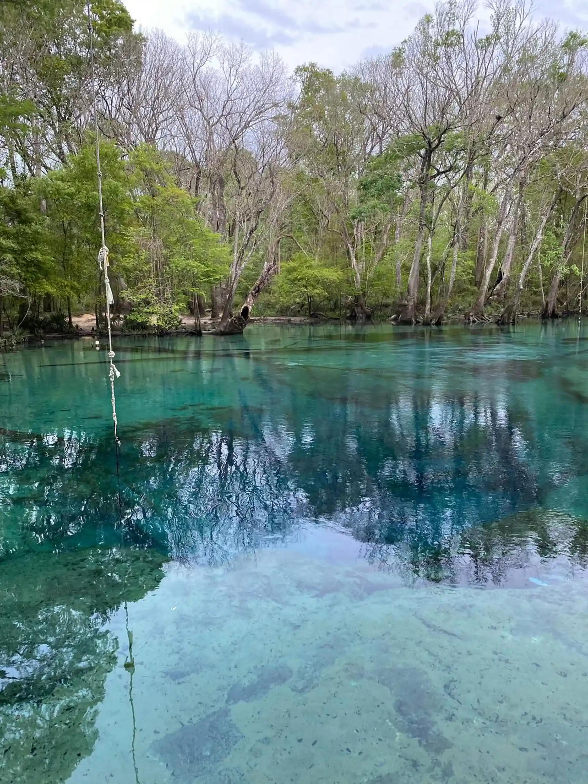 Dive site photo