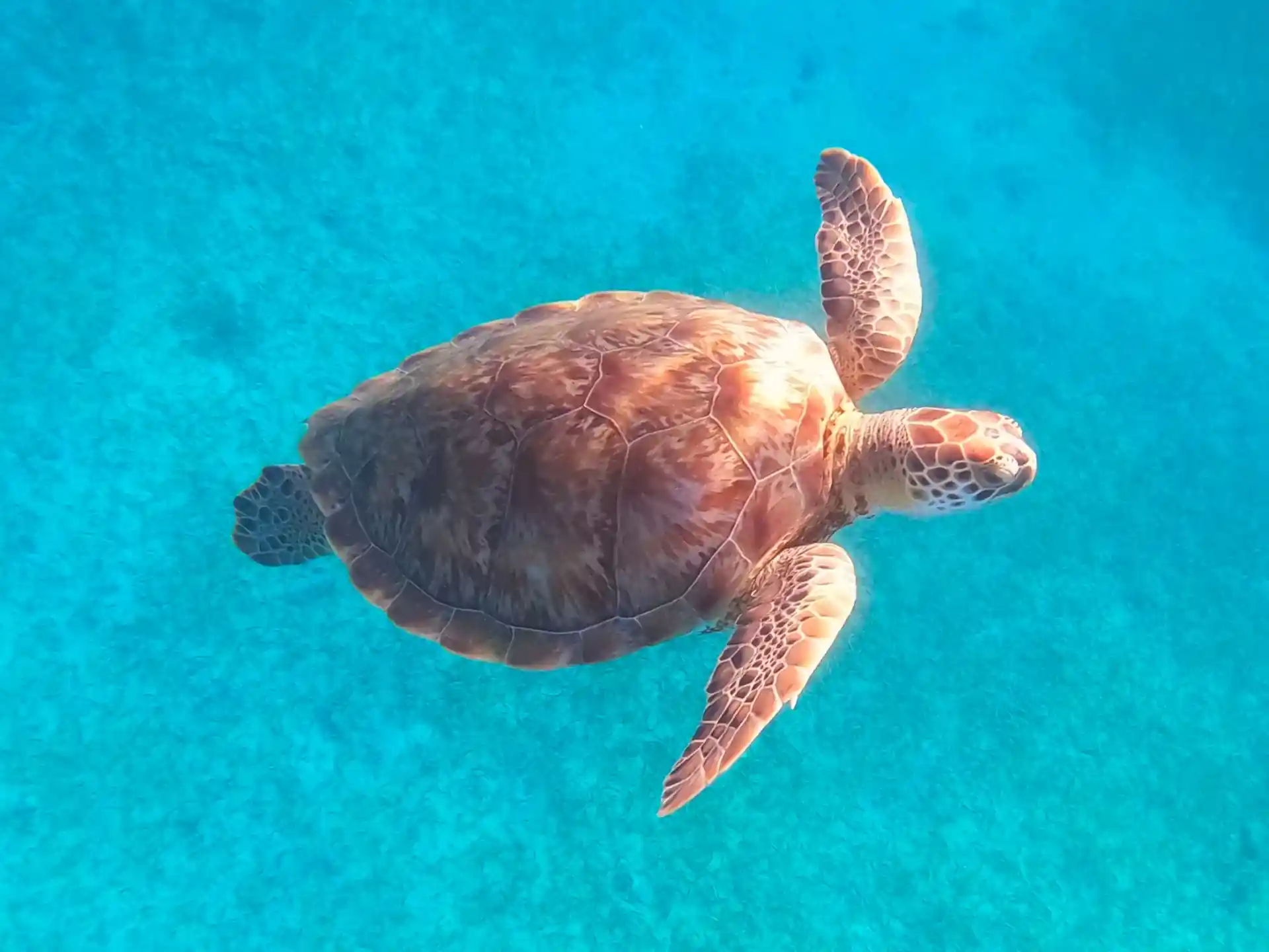 Dive site photo