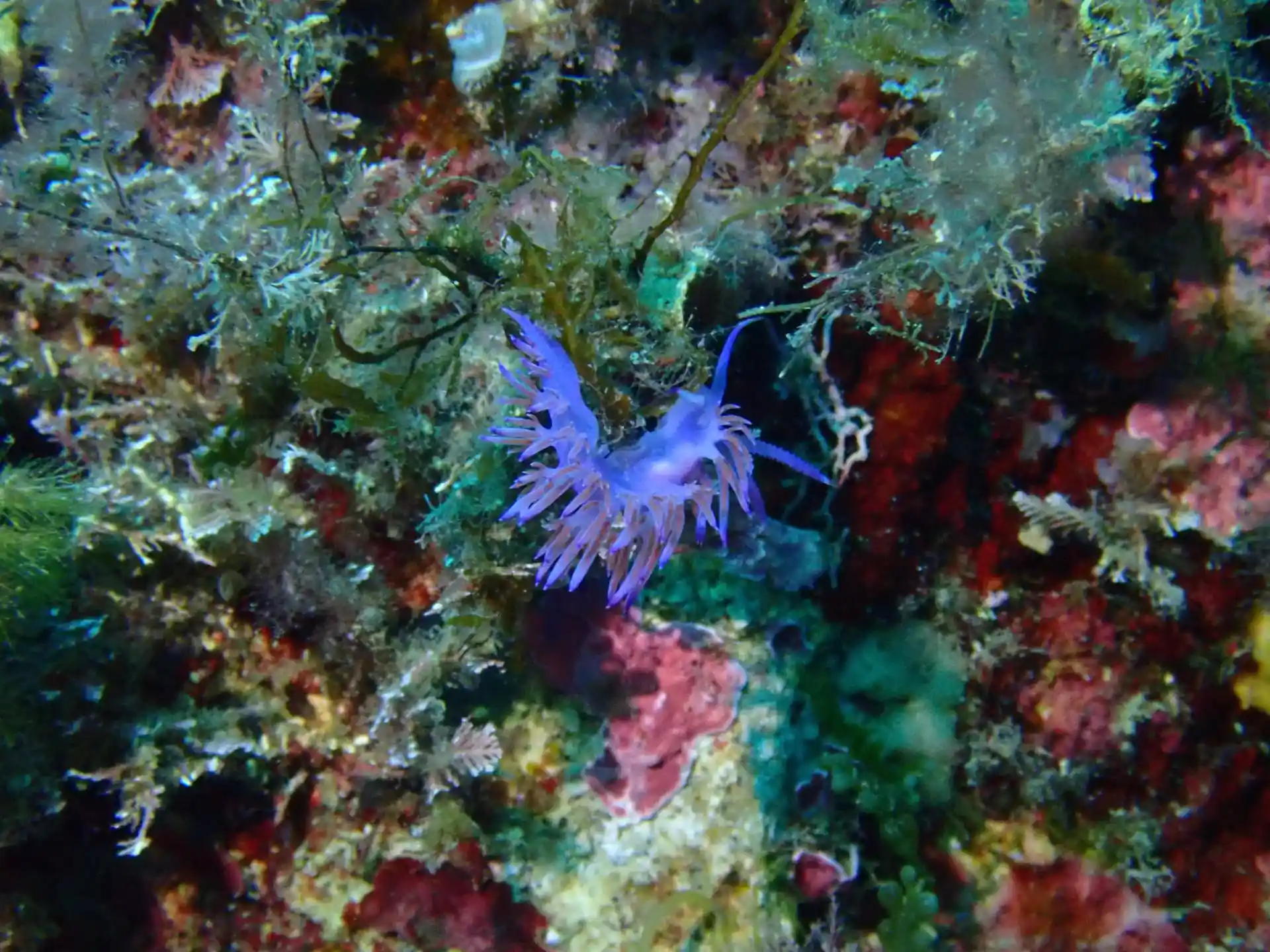 다이빙 포인트 사진