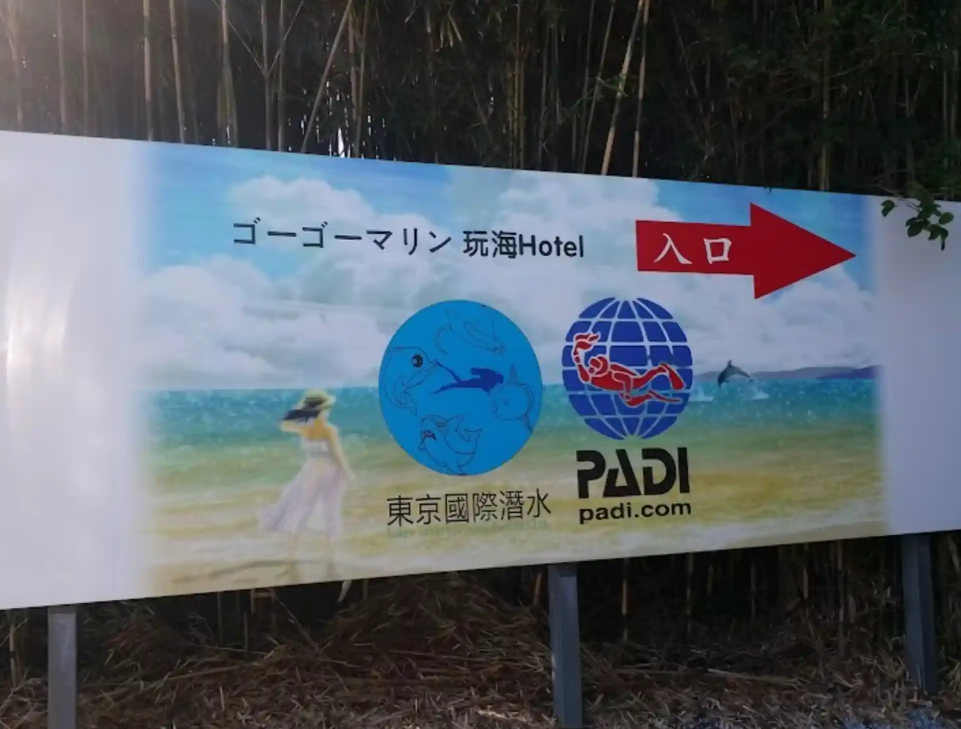 Dive shop photo