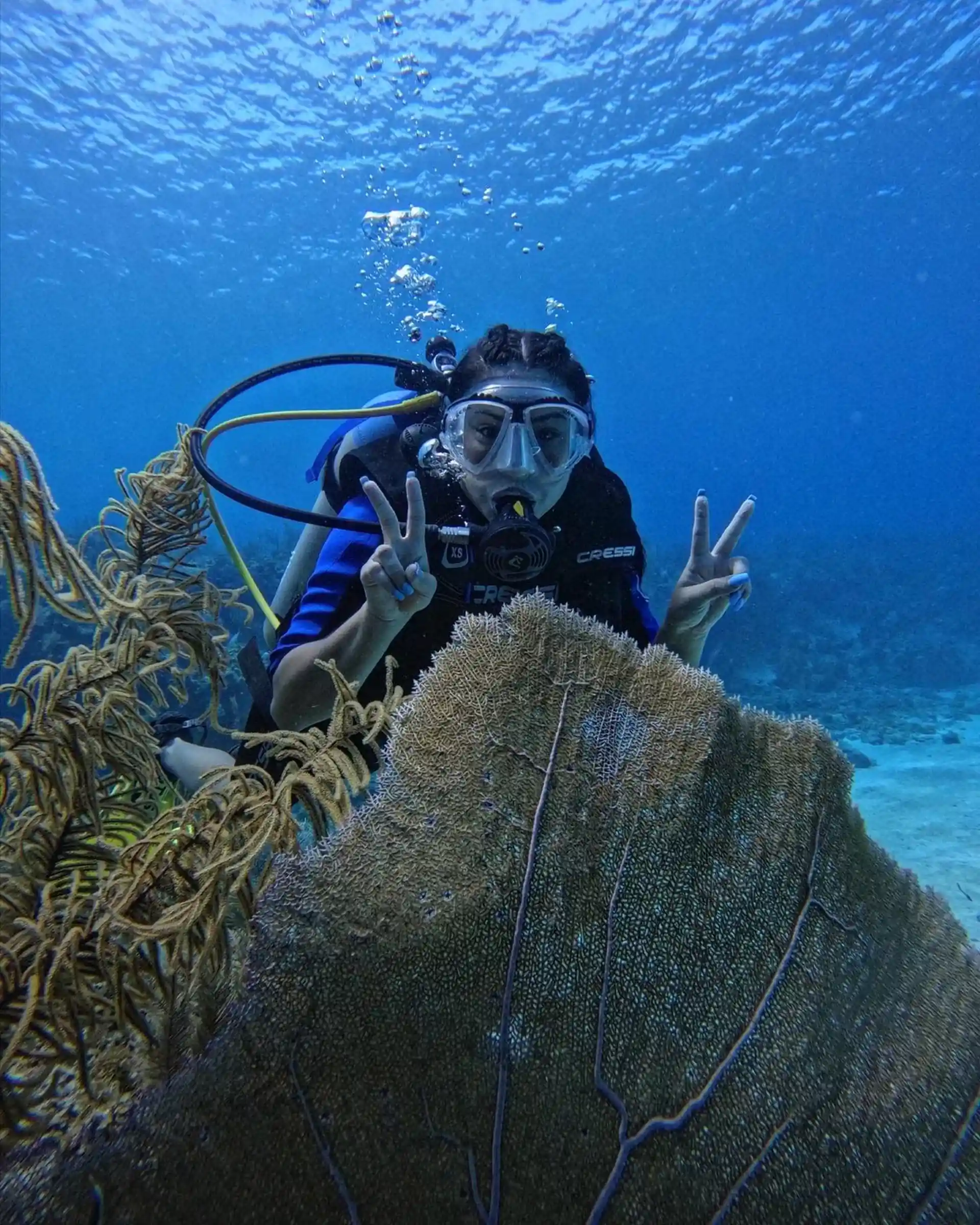 Dive site photo