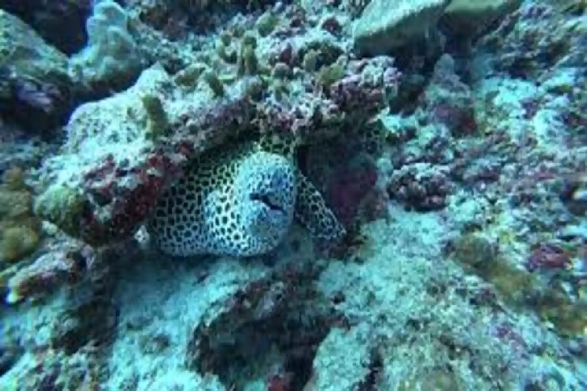 Foto des Tauchplatzes