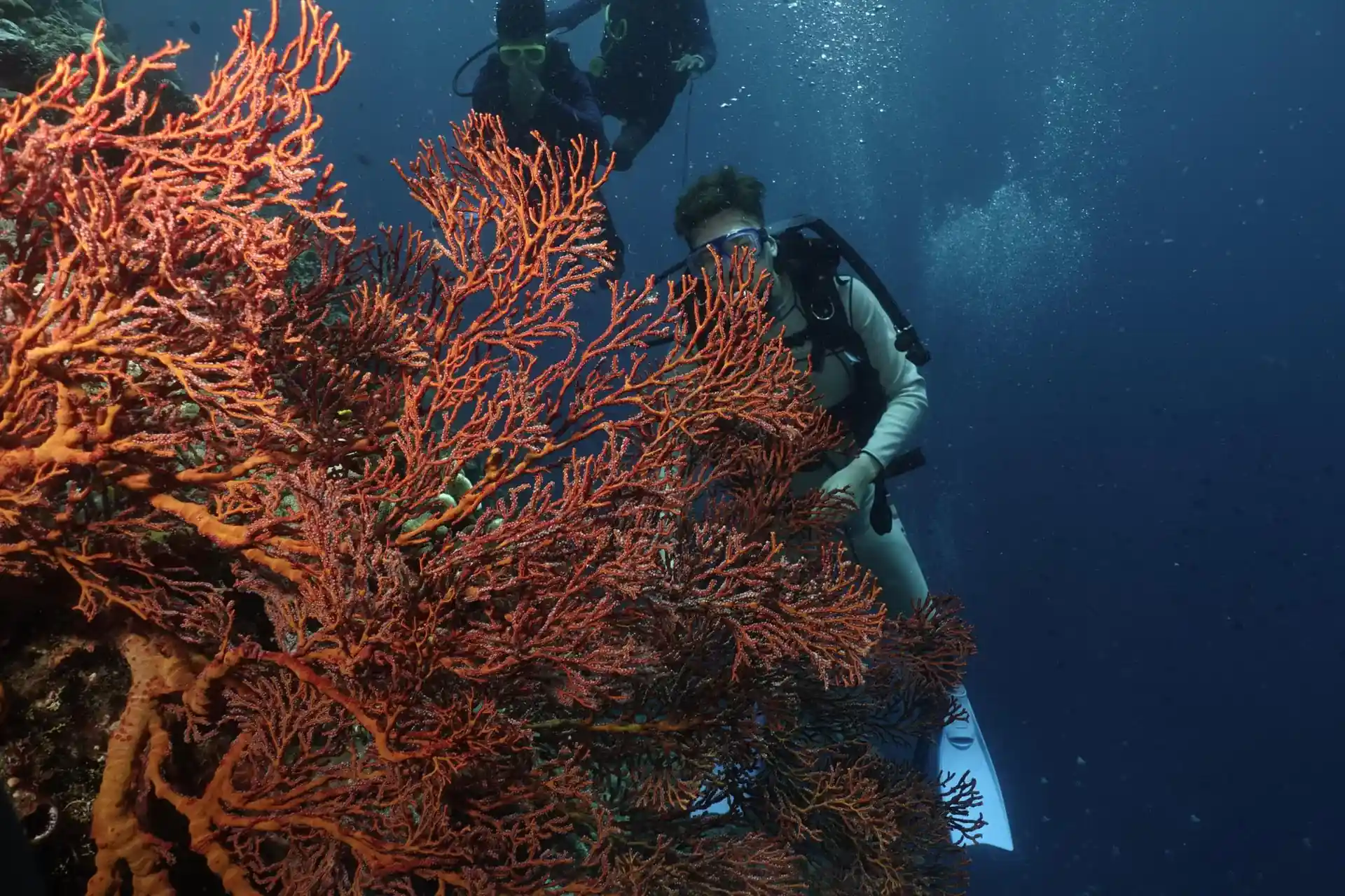 Dive site photo