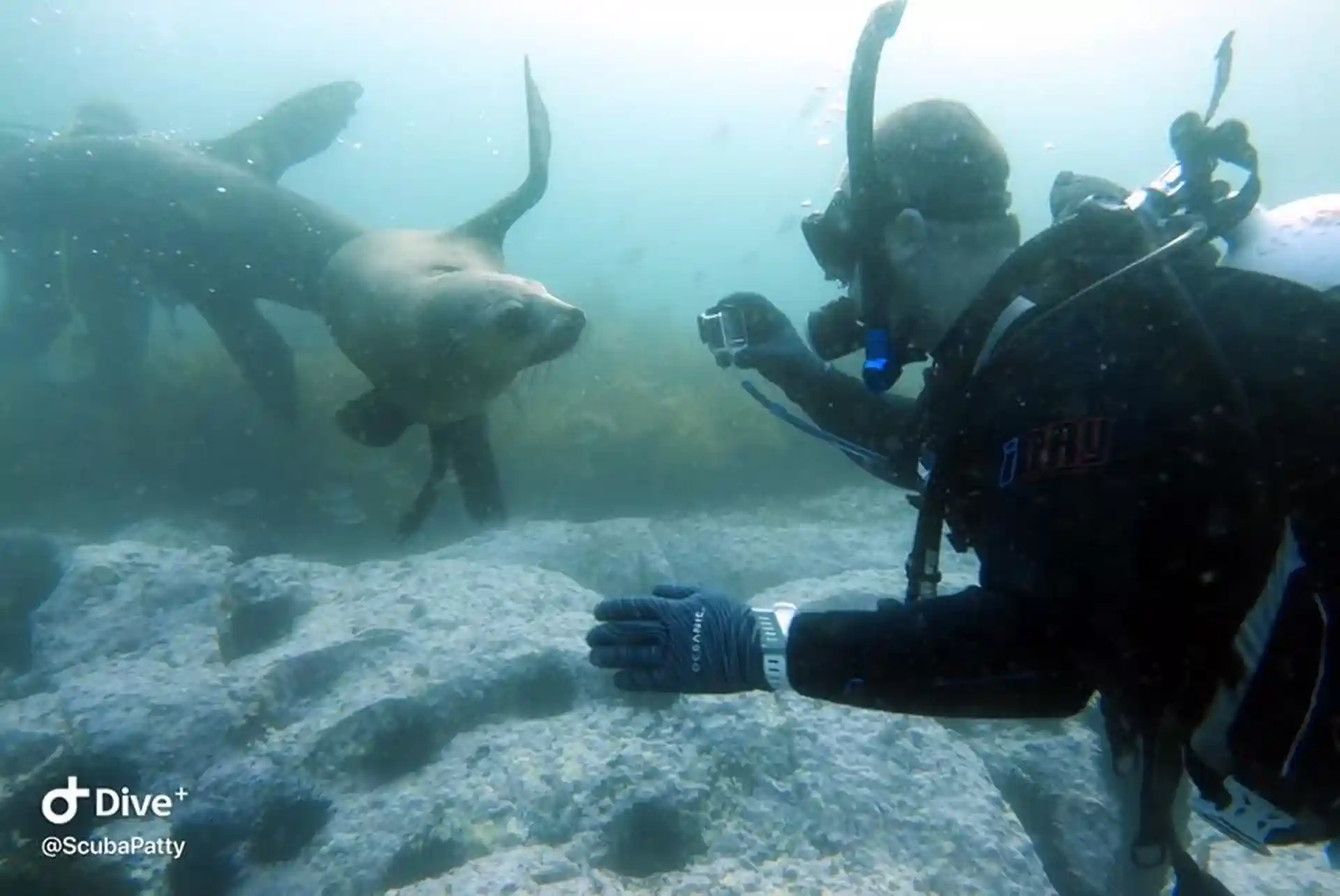 Photo du site de plongée