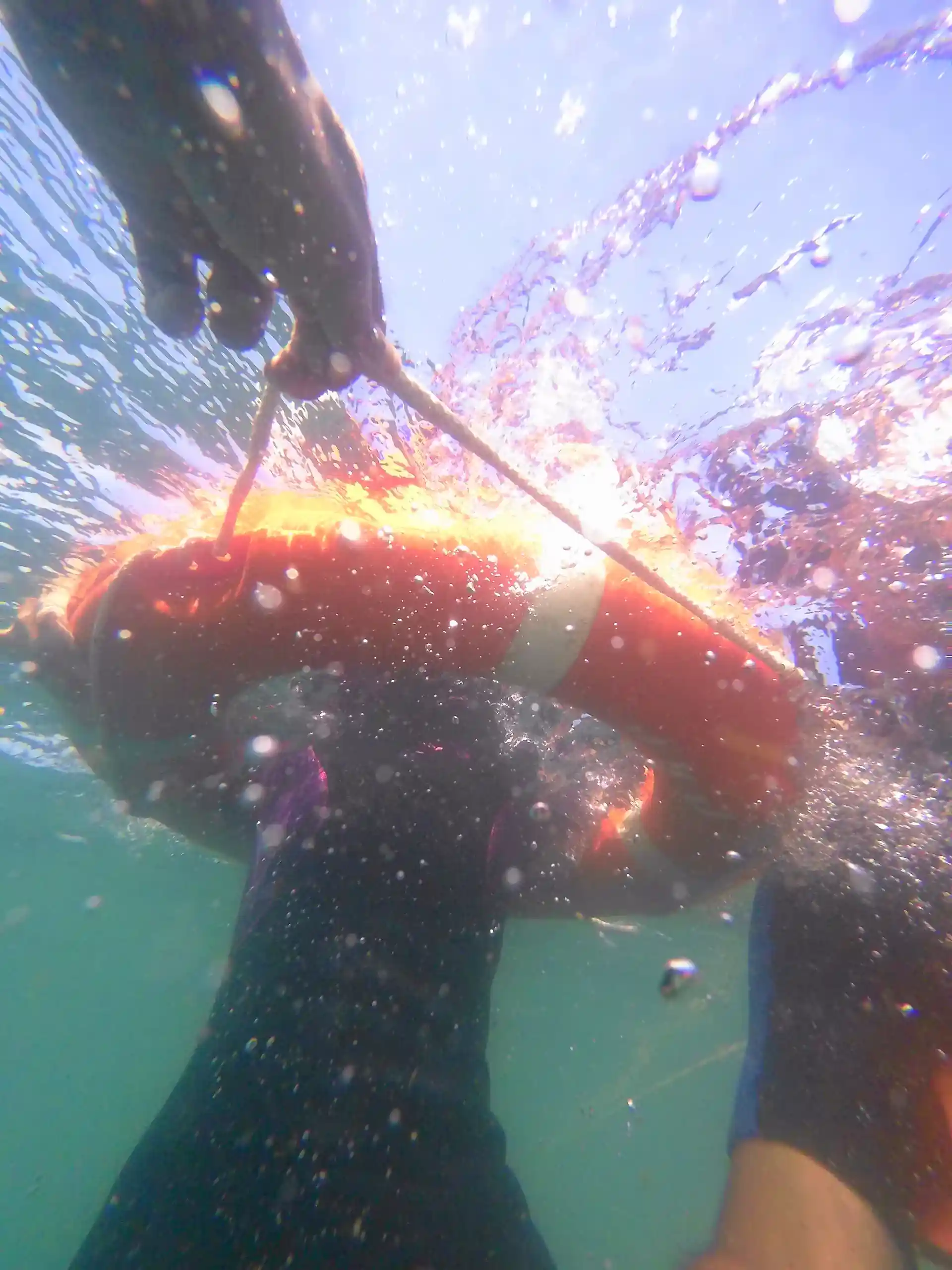 Splash - jump - dive.... it's your time to adventure...