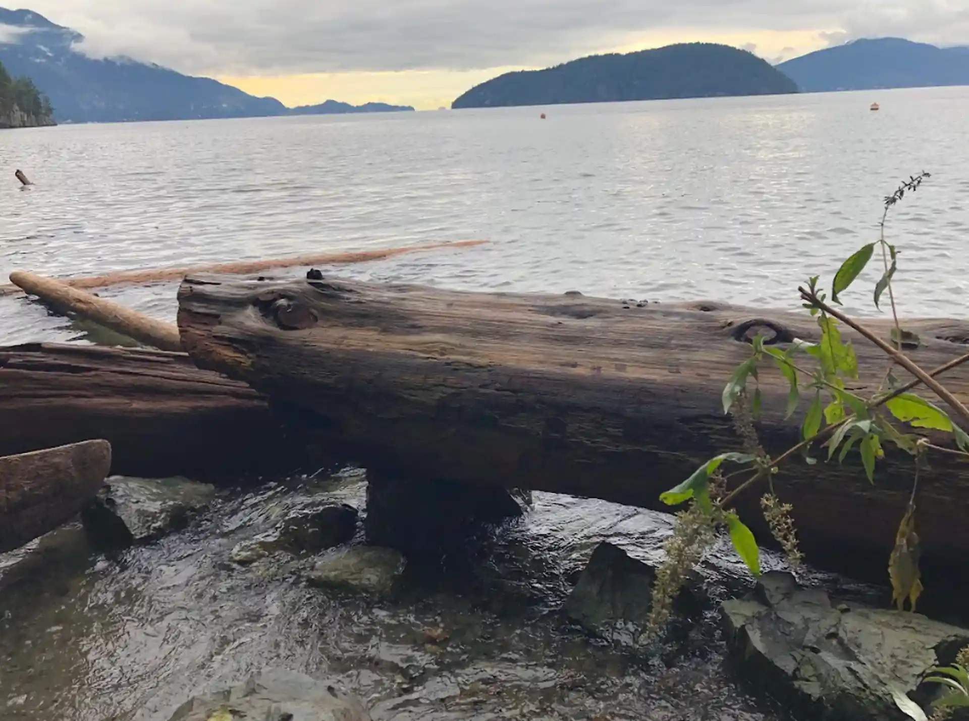 다이빙 포인트 사진