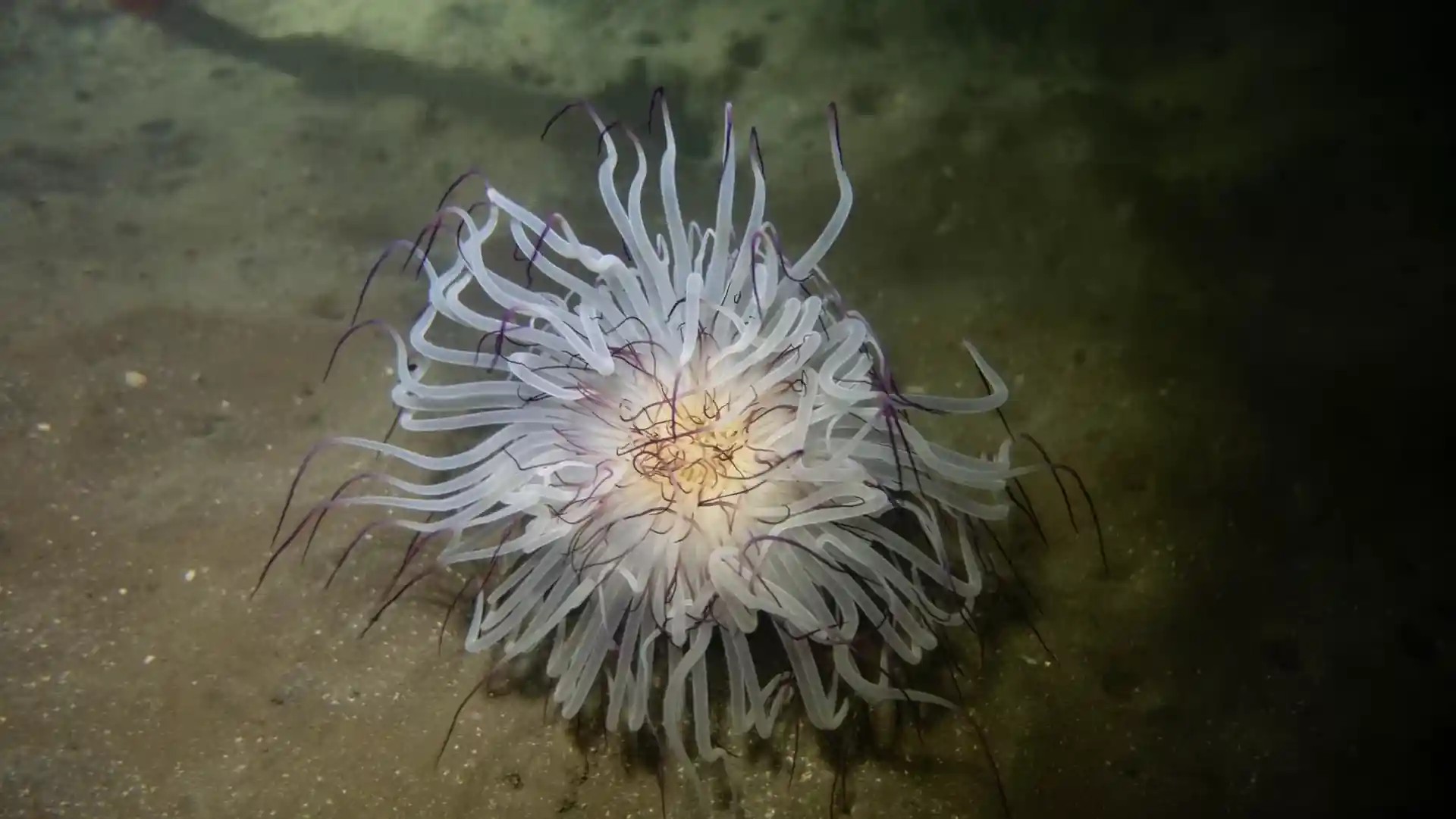 다이빙 포인트 사진