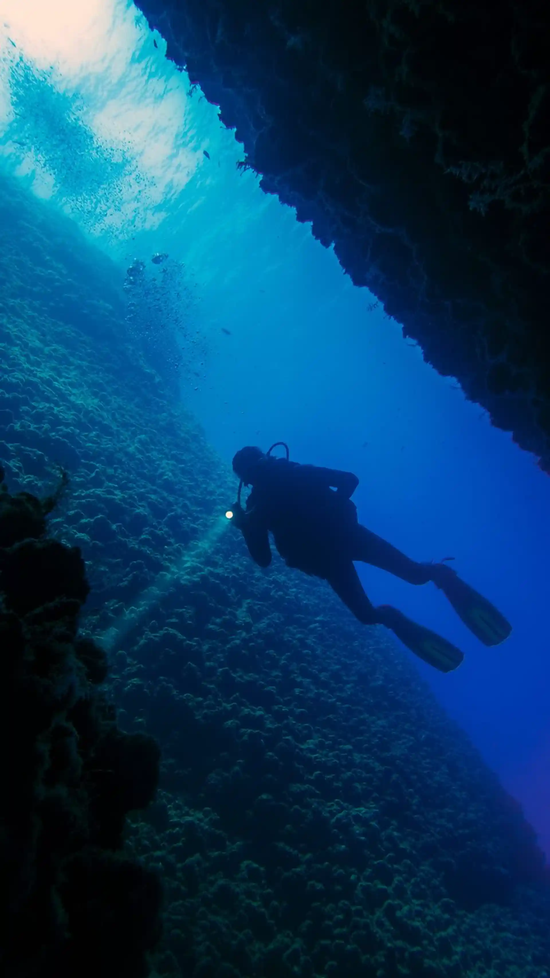 Dive site photo