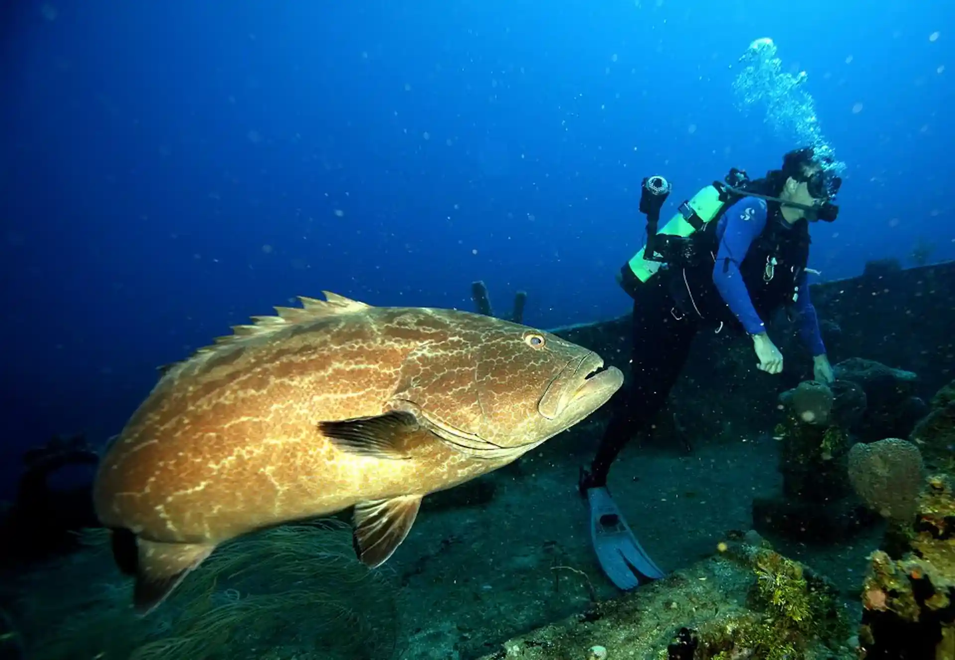 Dive shop photo
