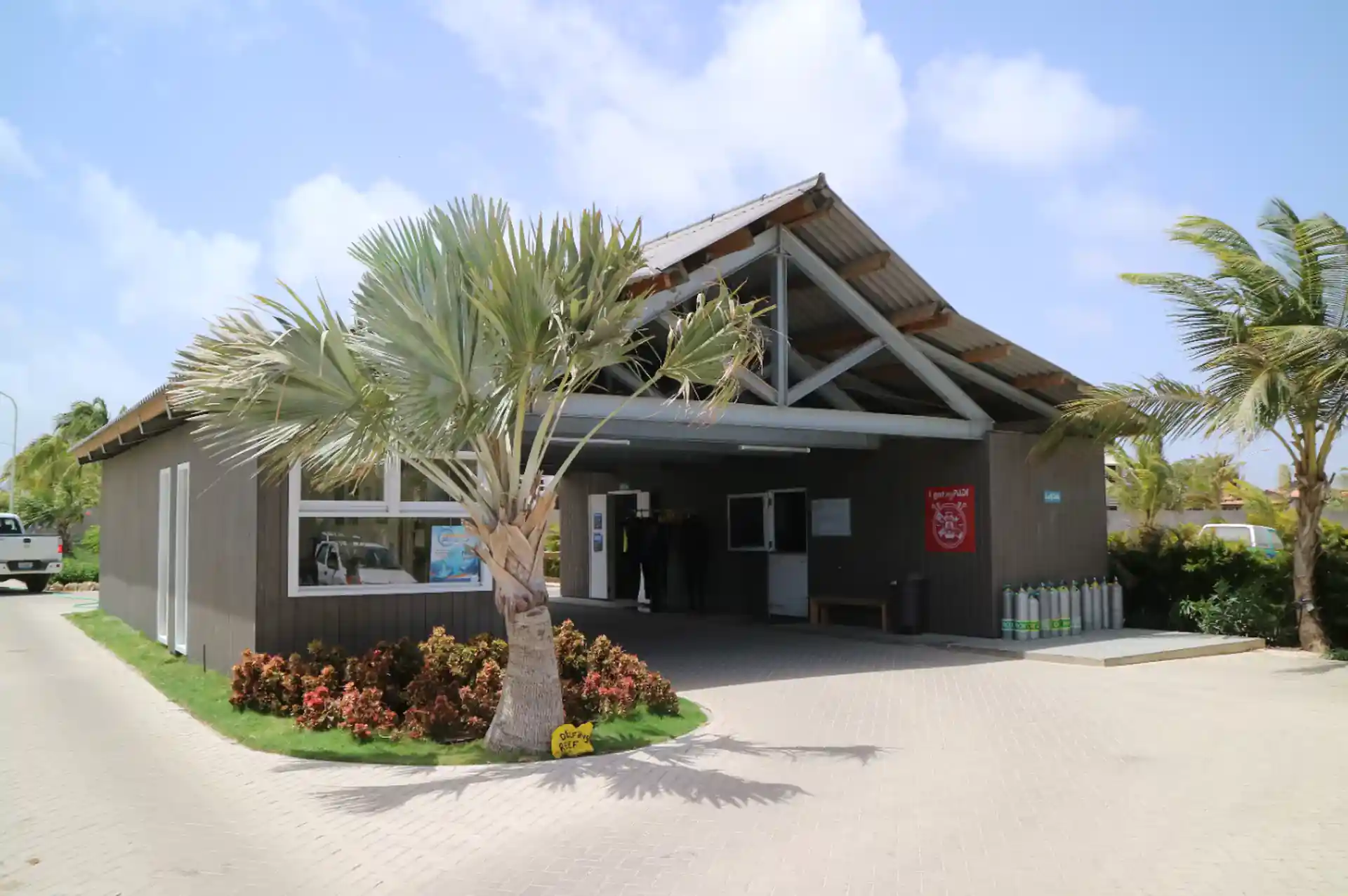 Duikwinkel foto
