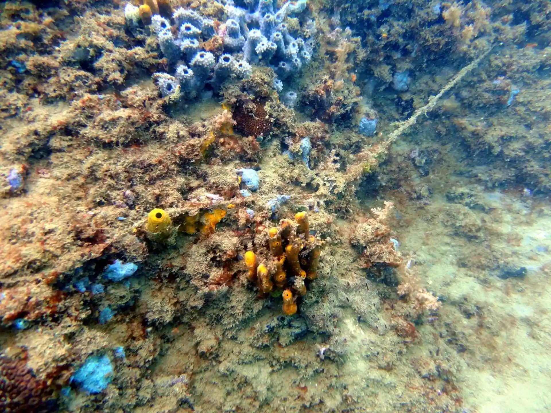 Dive site photo