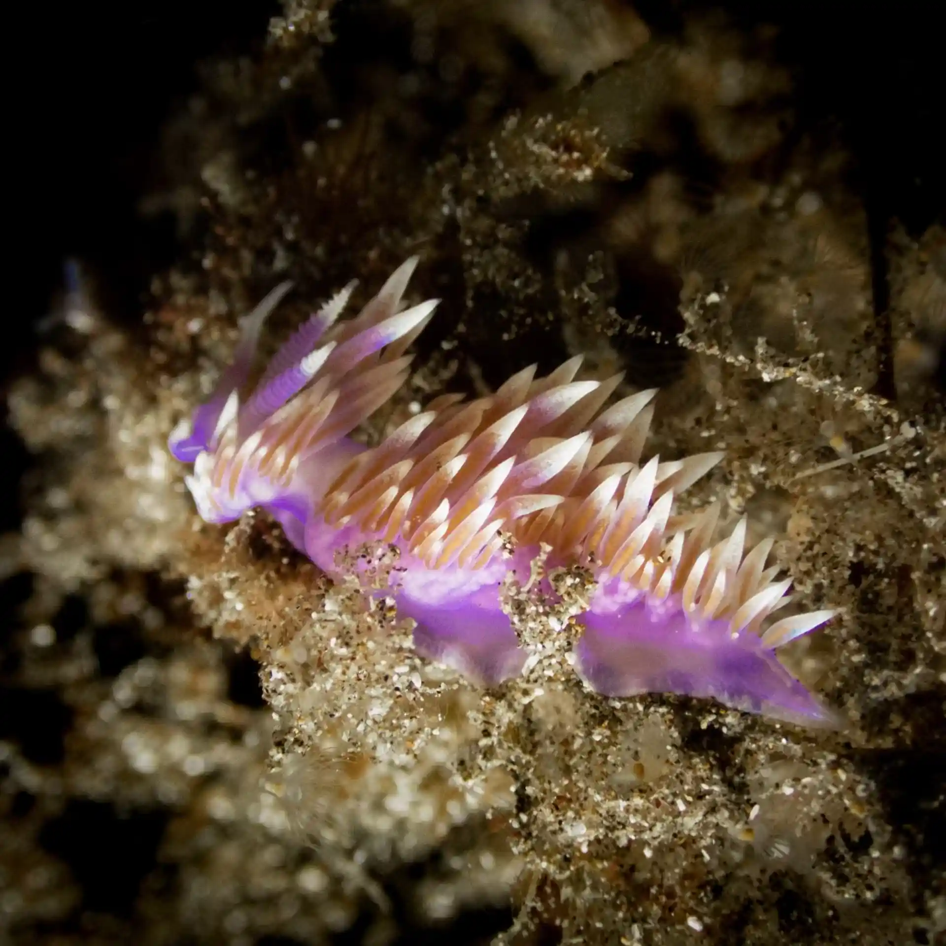 다이빙 포인트 사진