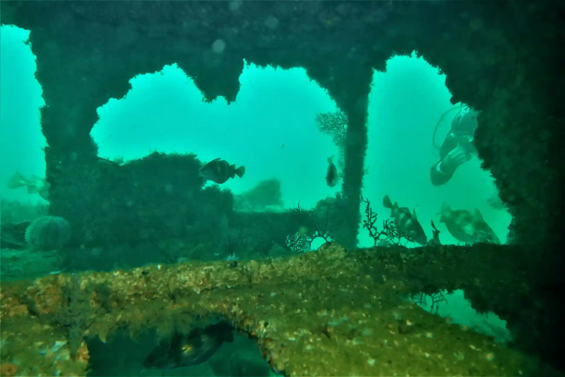 Foto del sitio de buceo