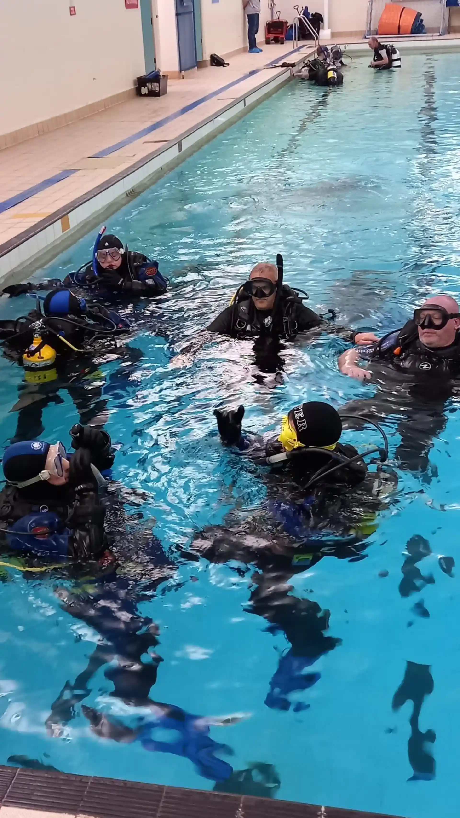 Photo de l'activité