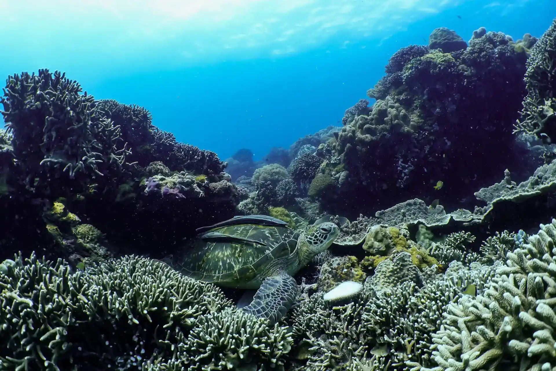 Foto des Tauchplatzes