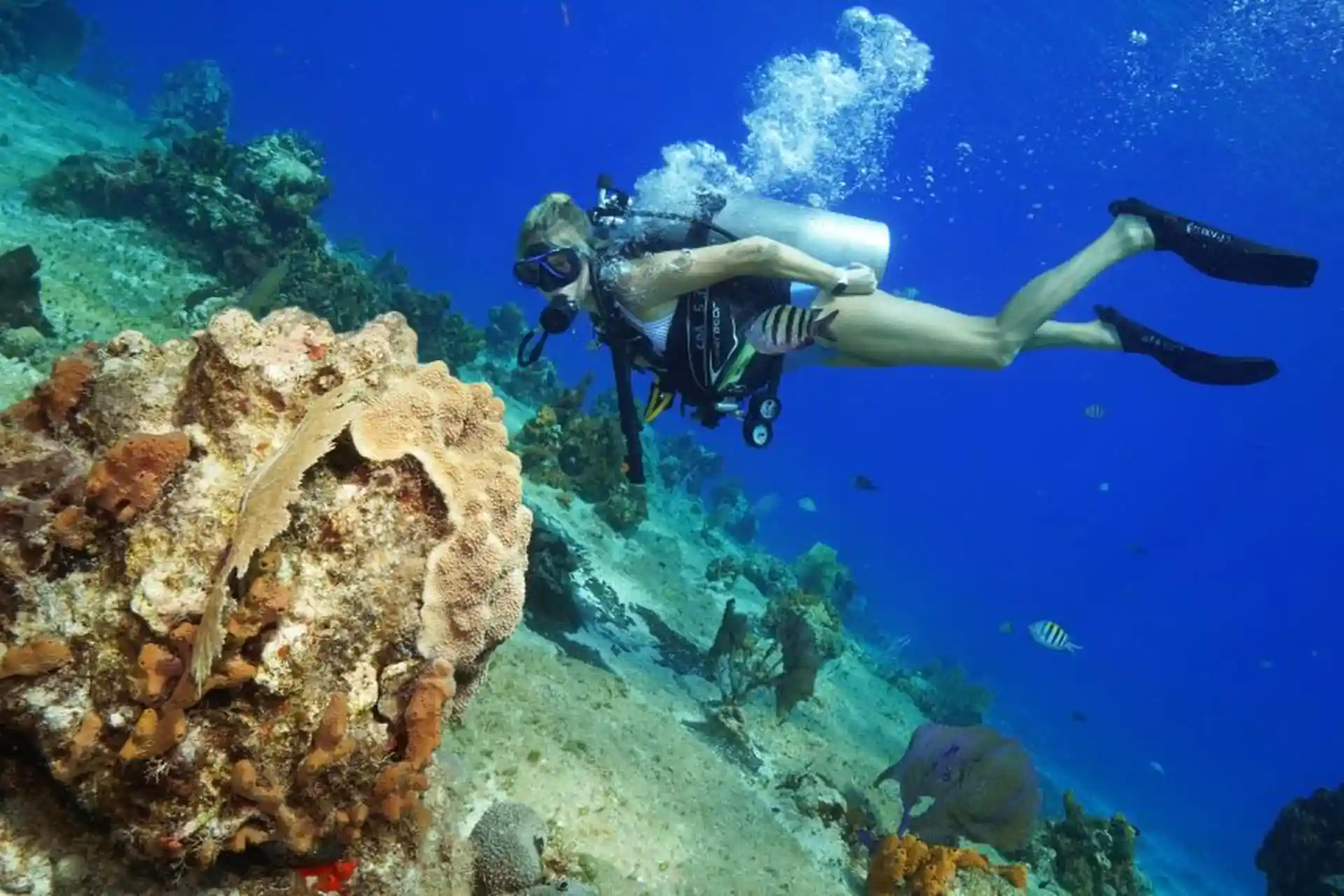 Photo de l'activité