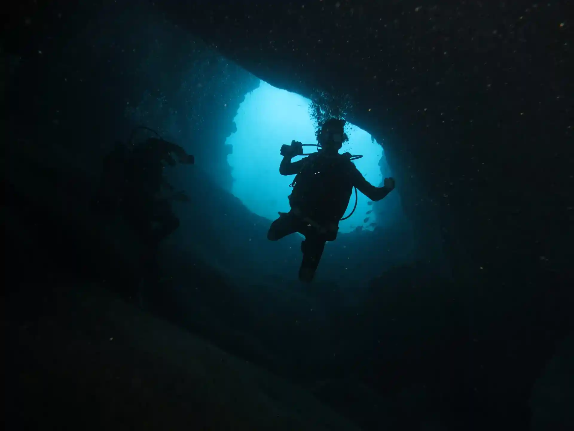 ダイビングサイトの写真