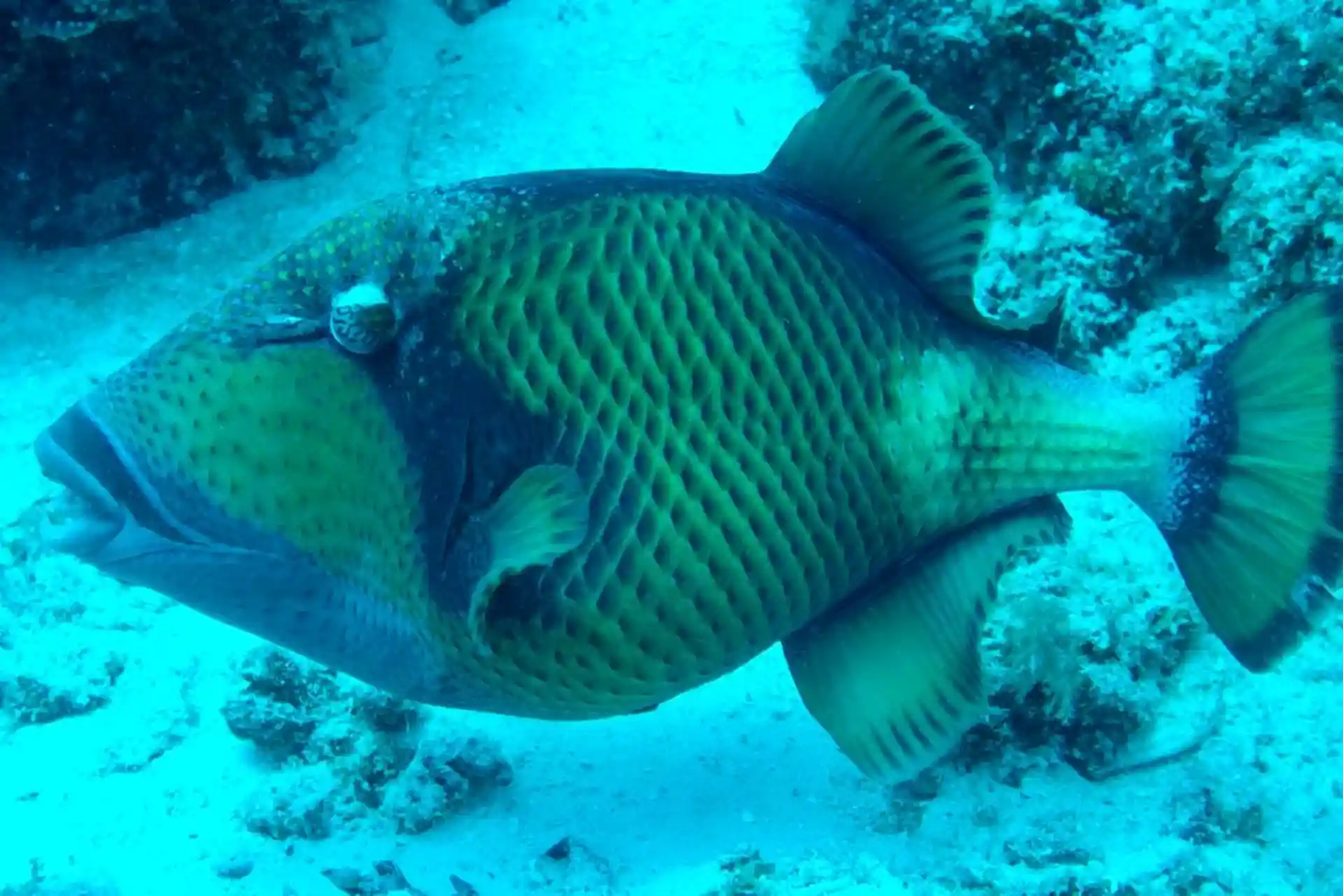 Dive site photo