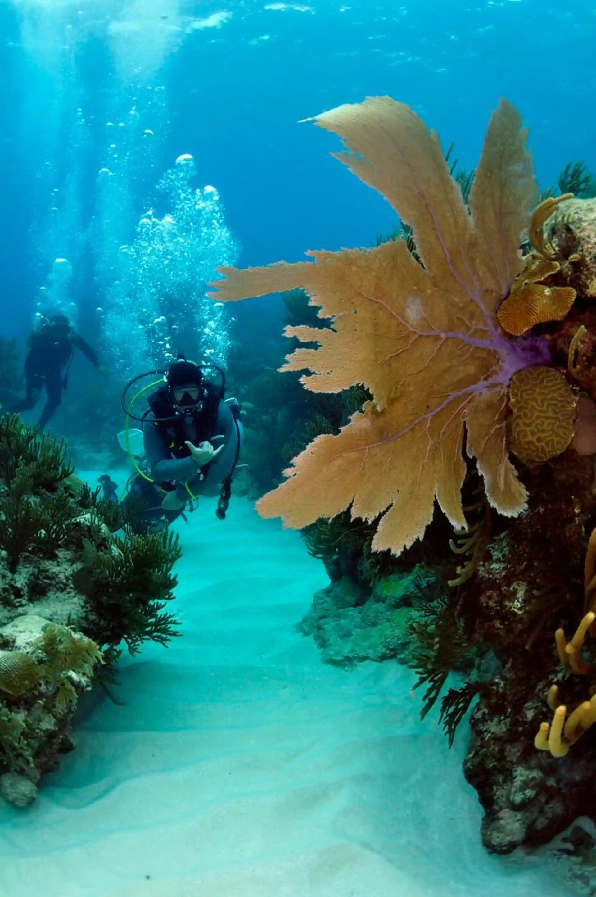 Dive shop photo