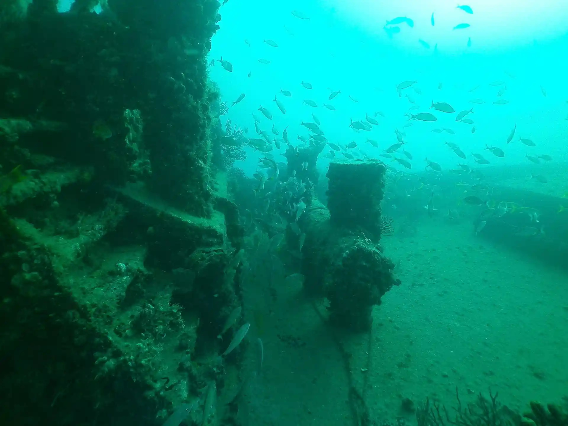 Dive site photo