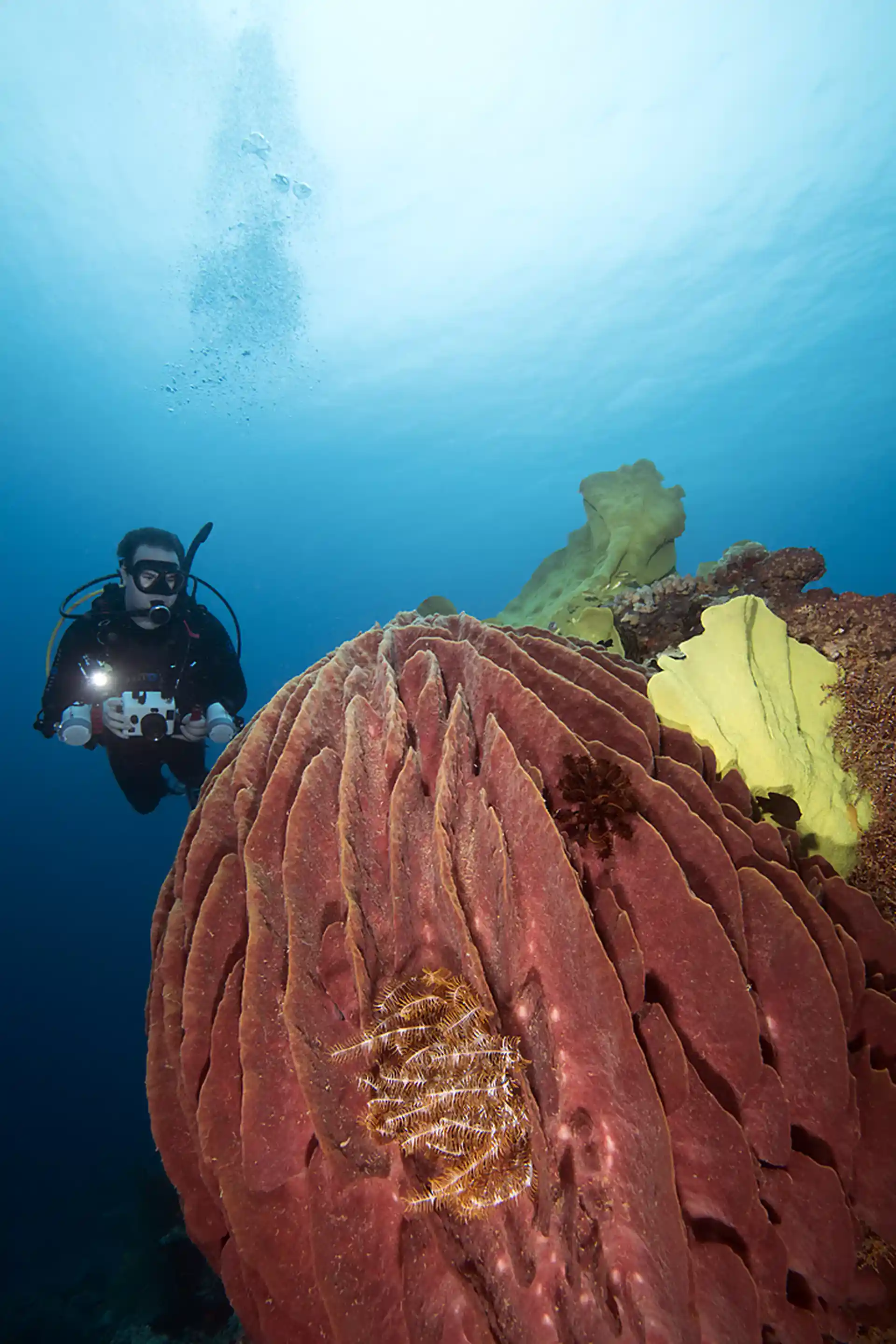 Dive site photo