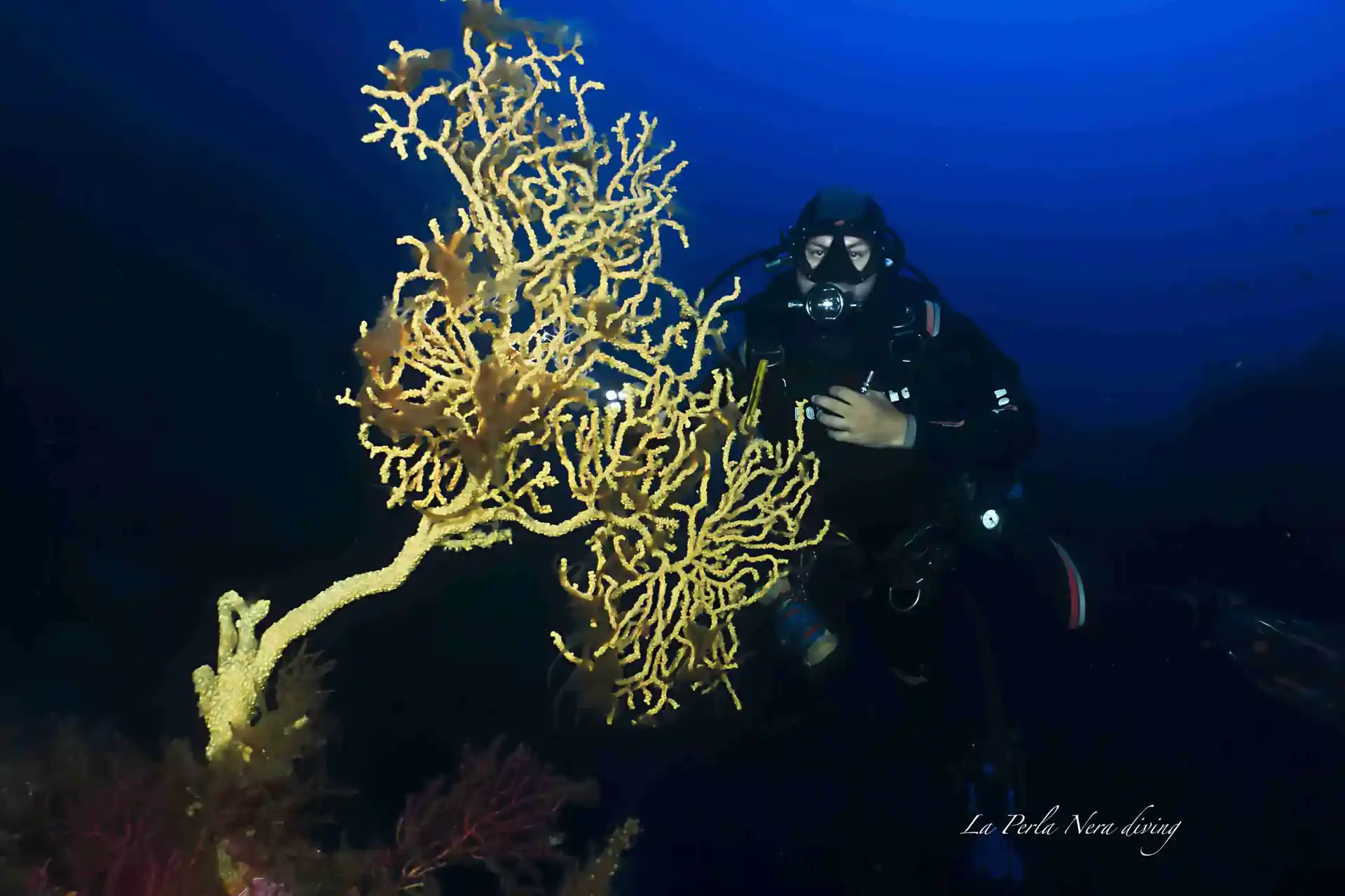 Dive site photo