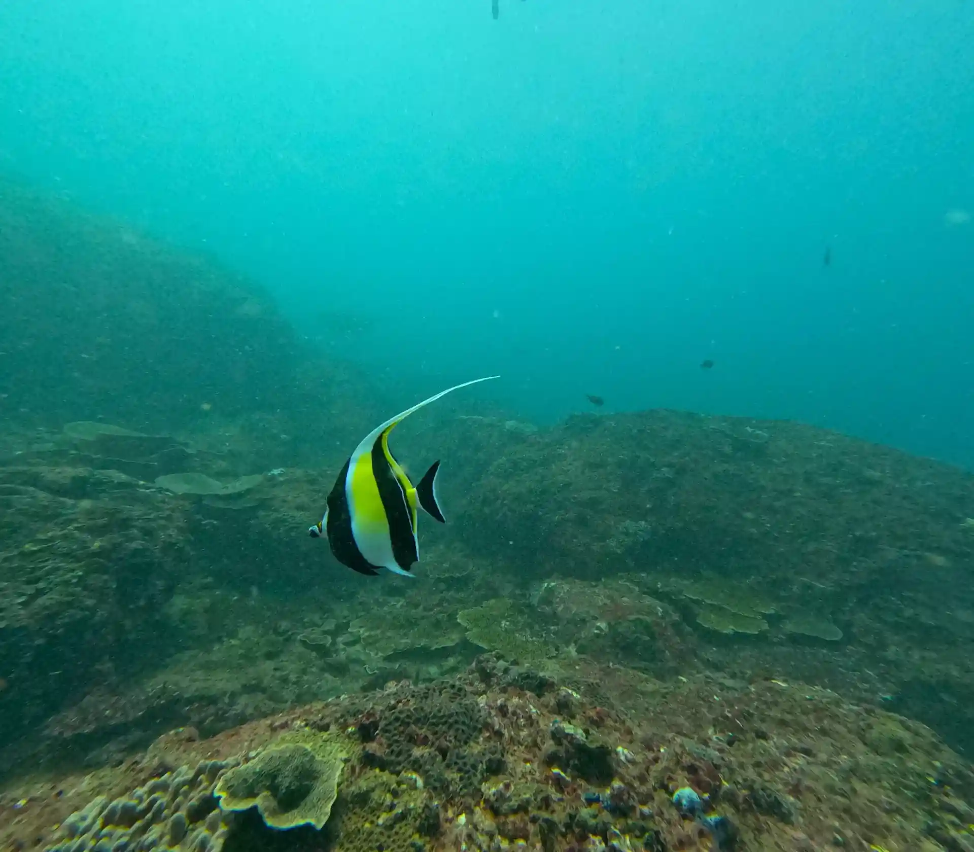 다이빙 포인트 사진