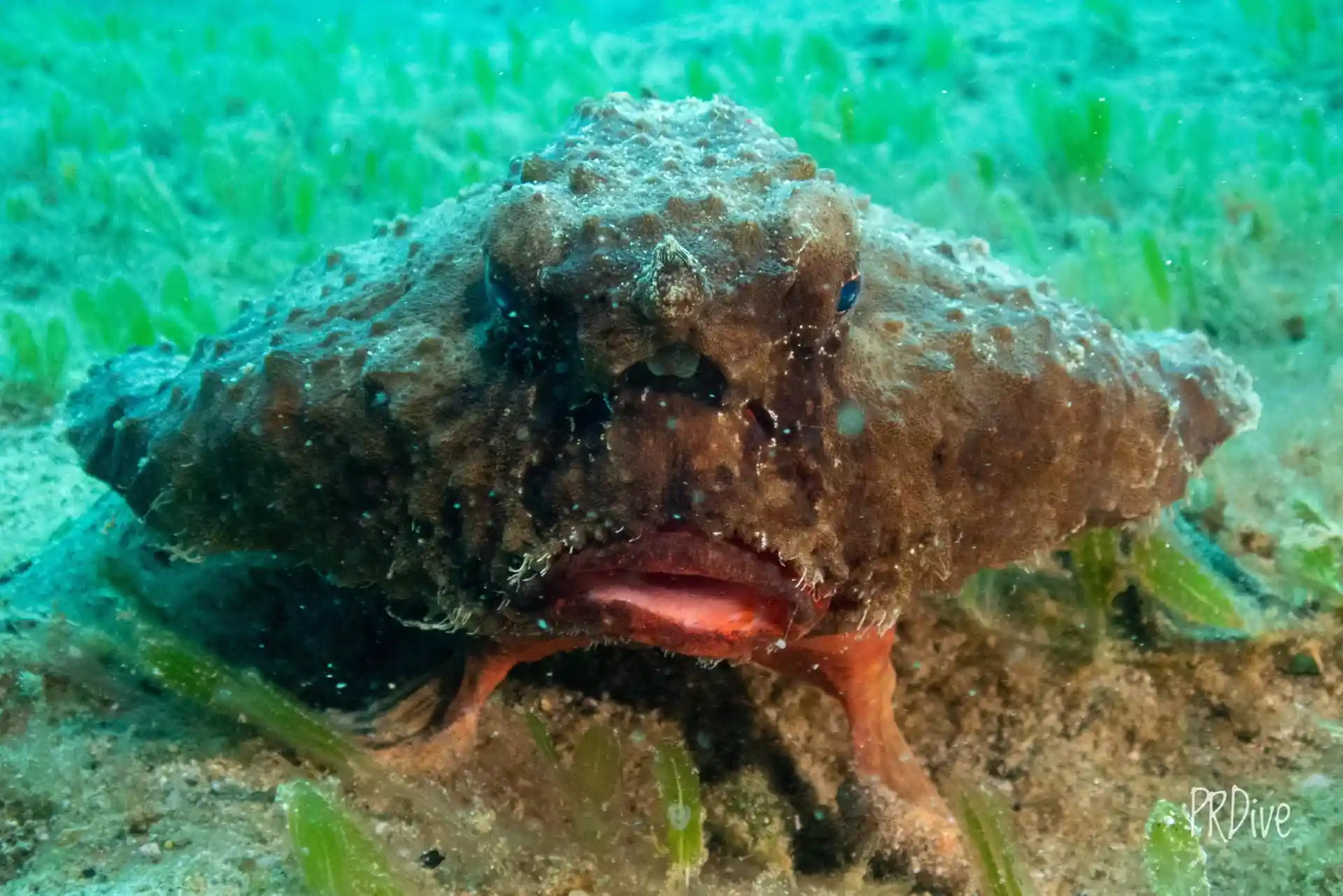 Dive site photo