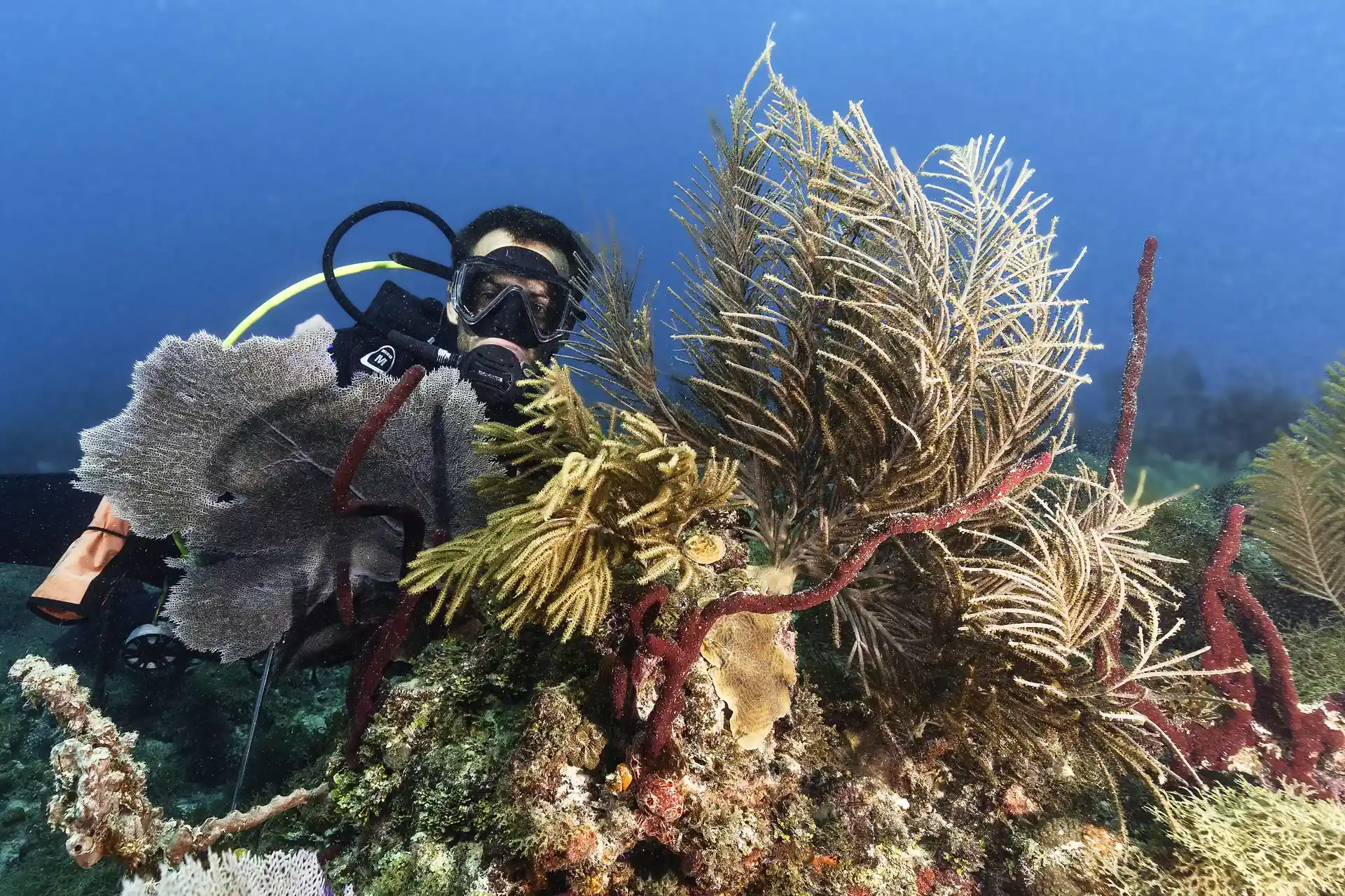 Photo de l'activité