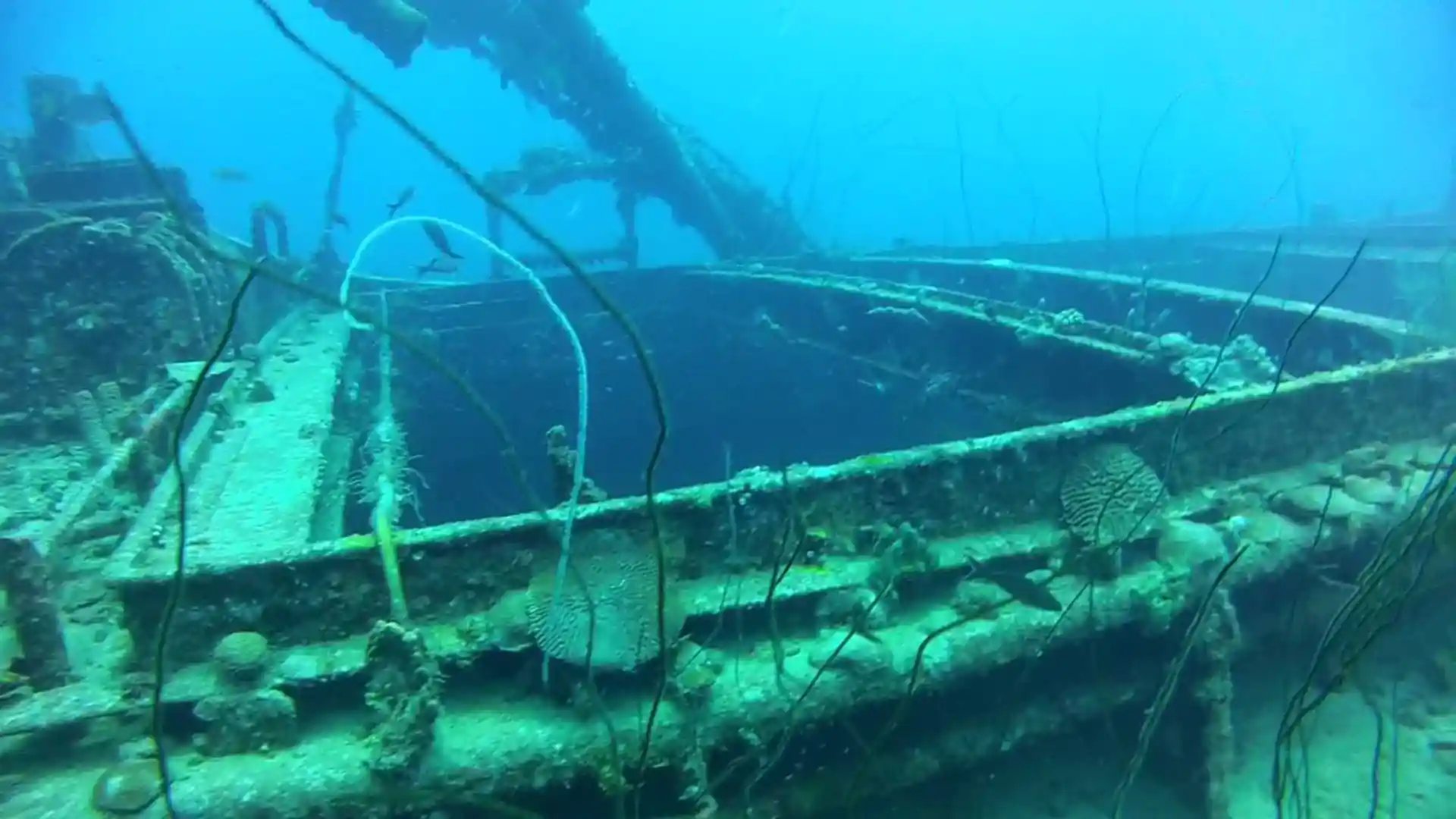 Dive site photo