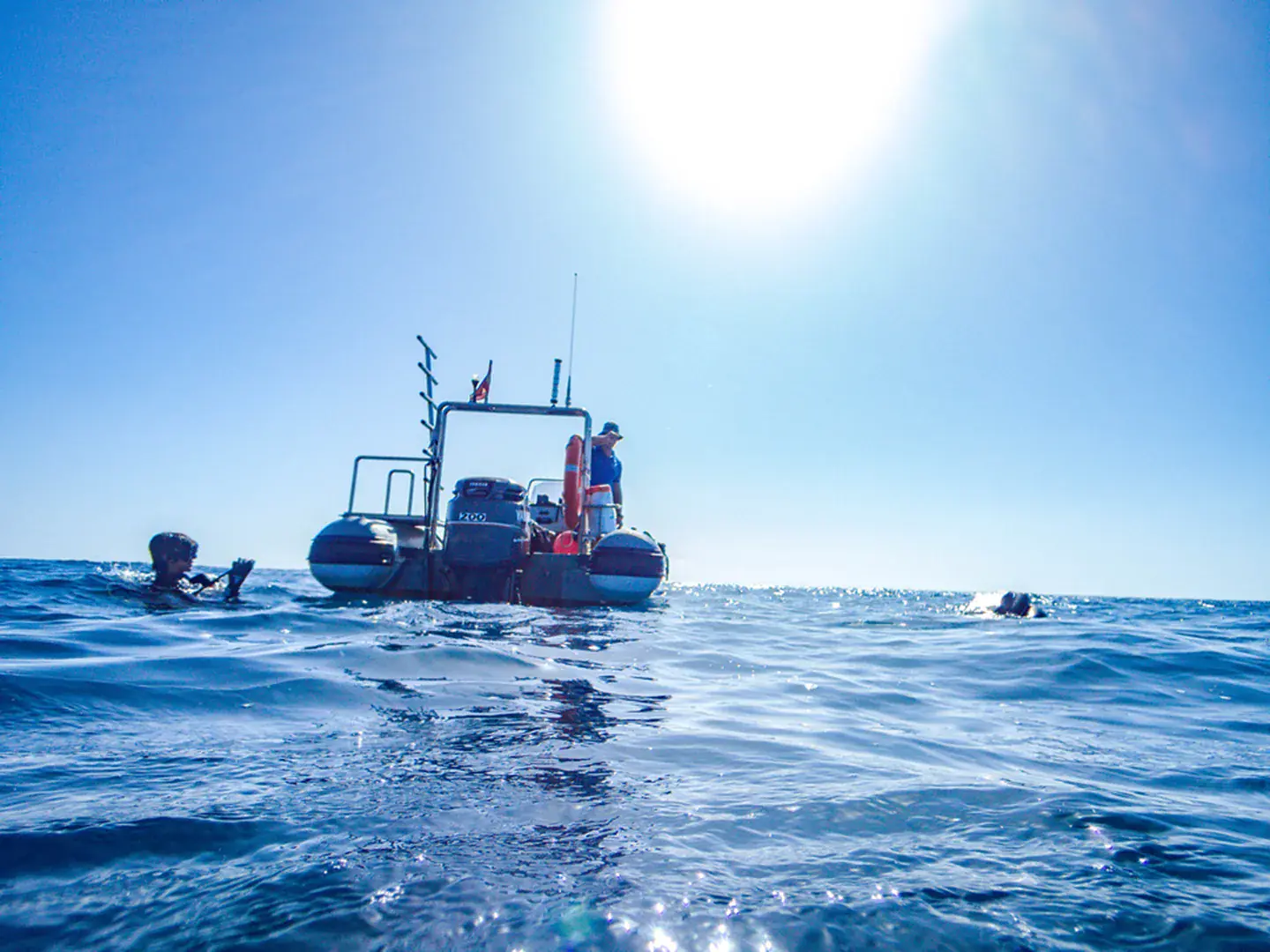 Canary Islands | Tenerife Double Dive Adventure – Small-Group, Guided |  Book online | PADI Adventures