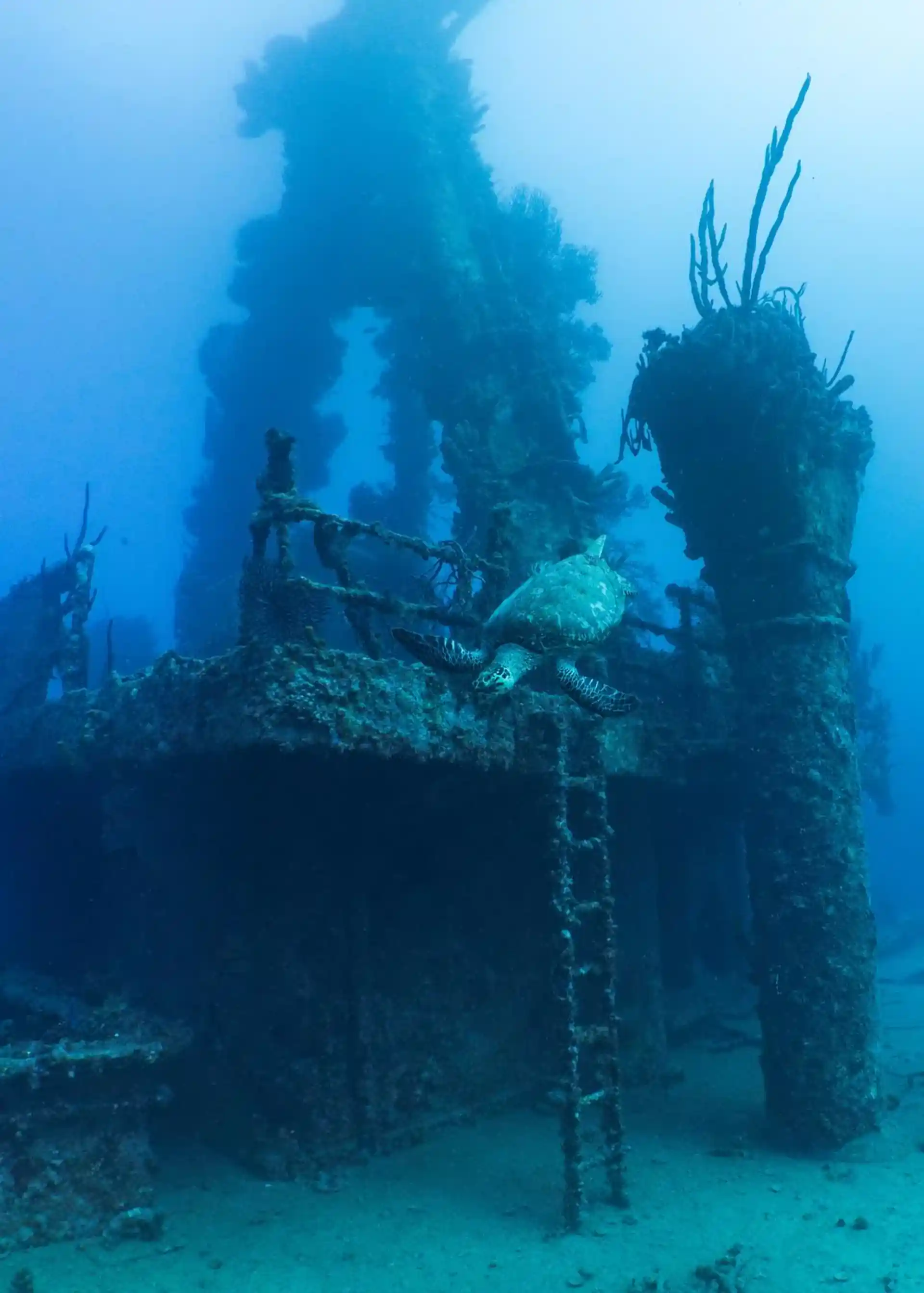 Dive shop photo