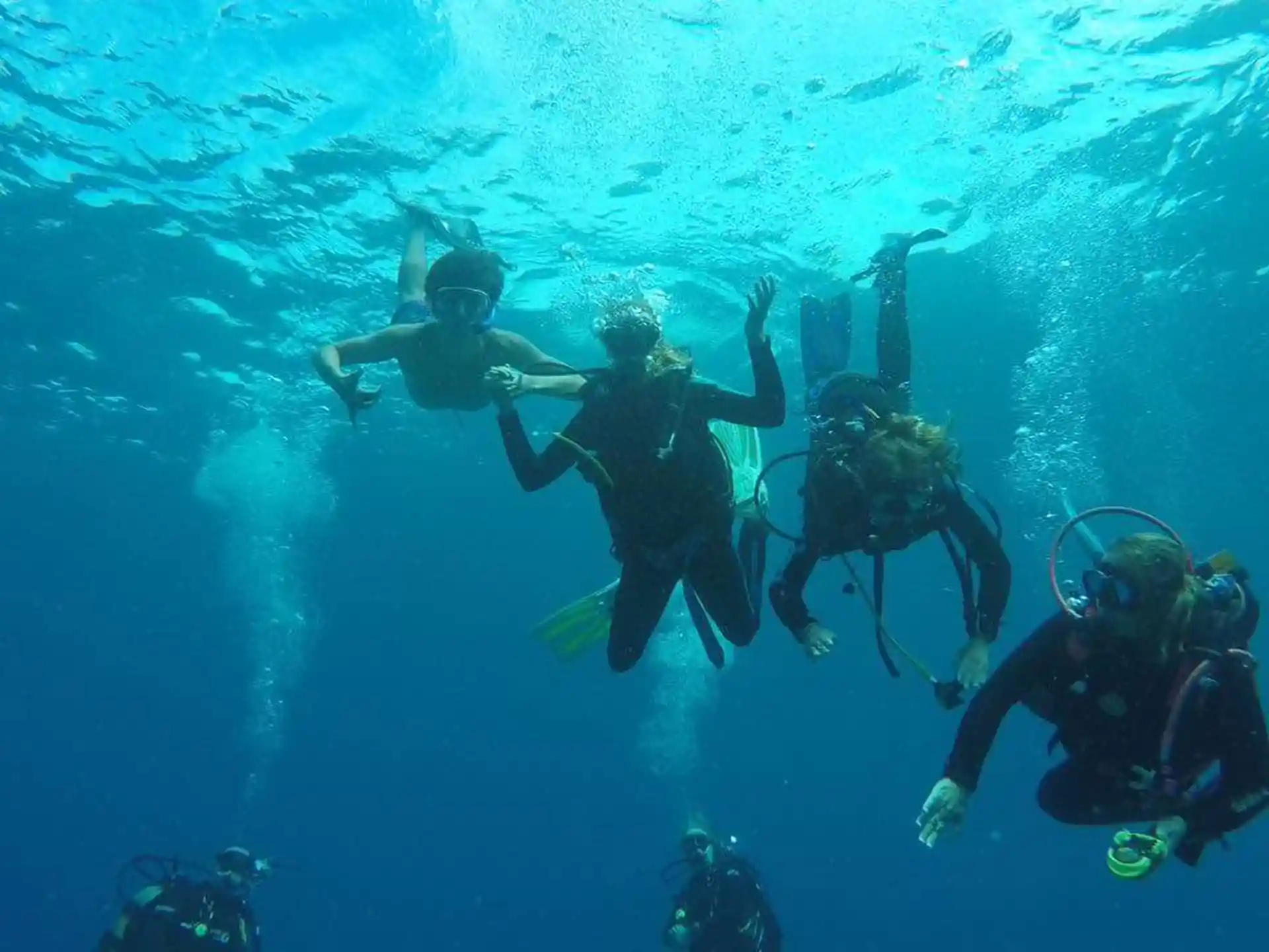 Divers enjoying the first plunge in to their underwater adventures