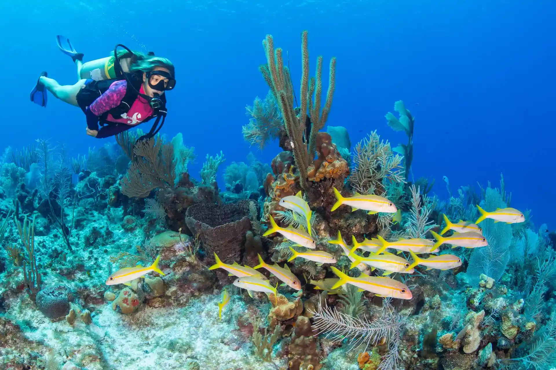 Dive site photo