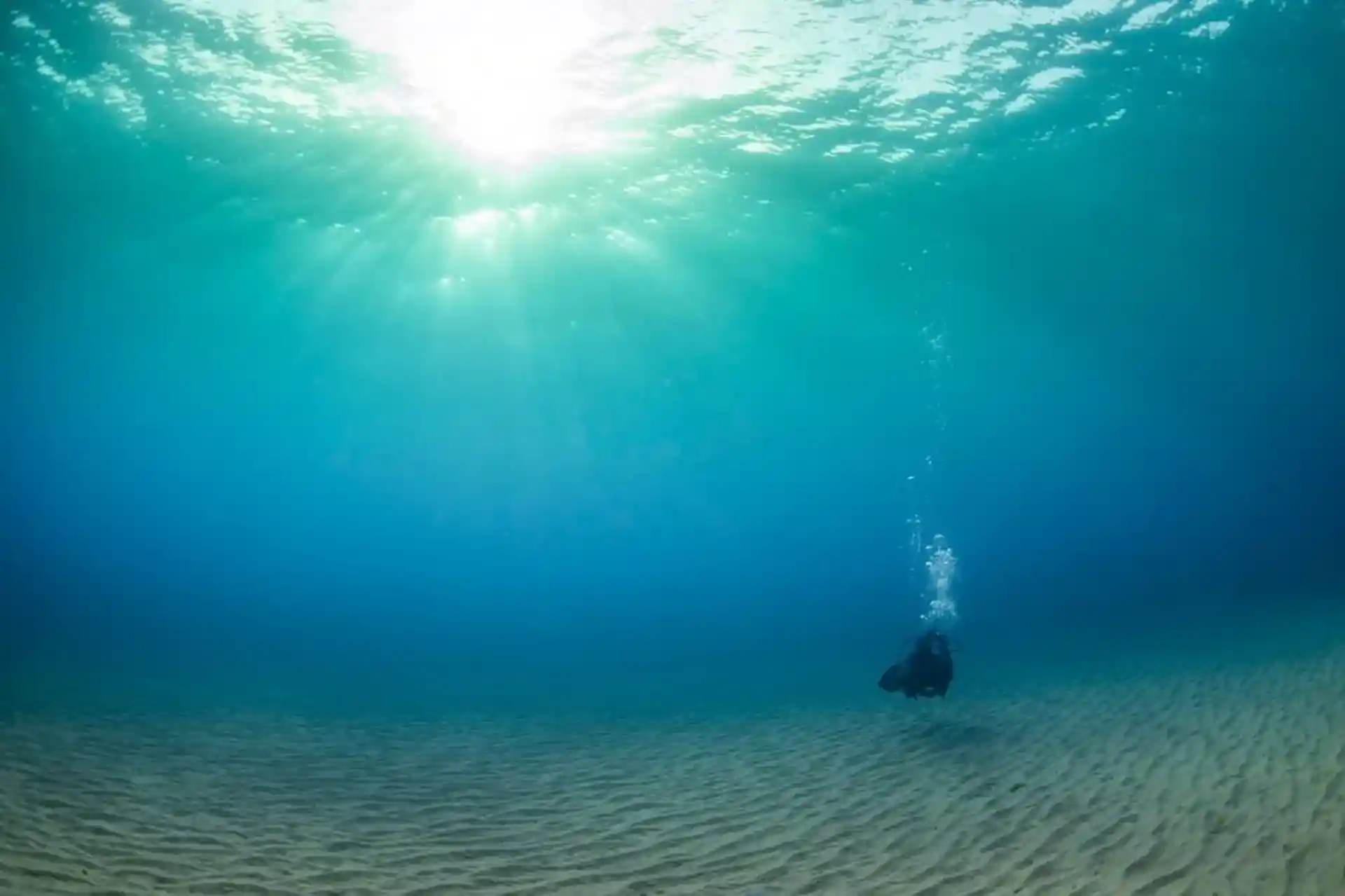 Dive site photo