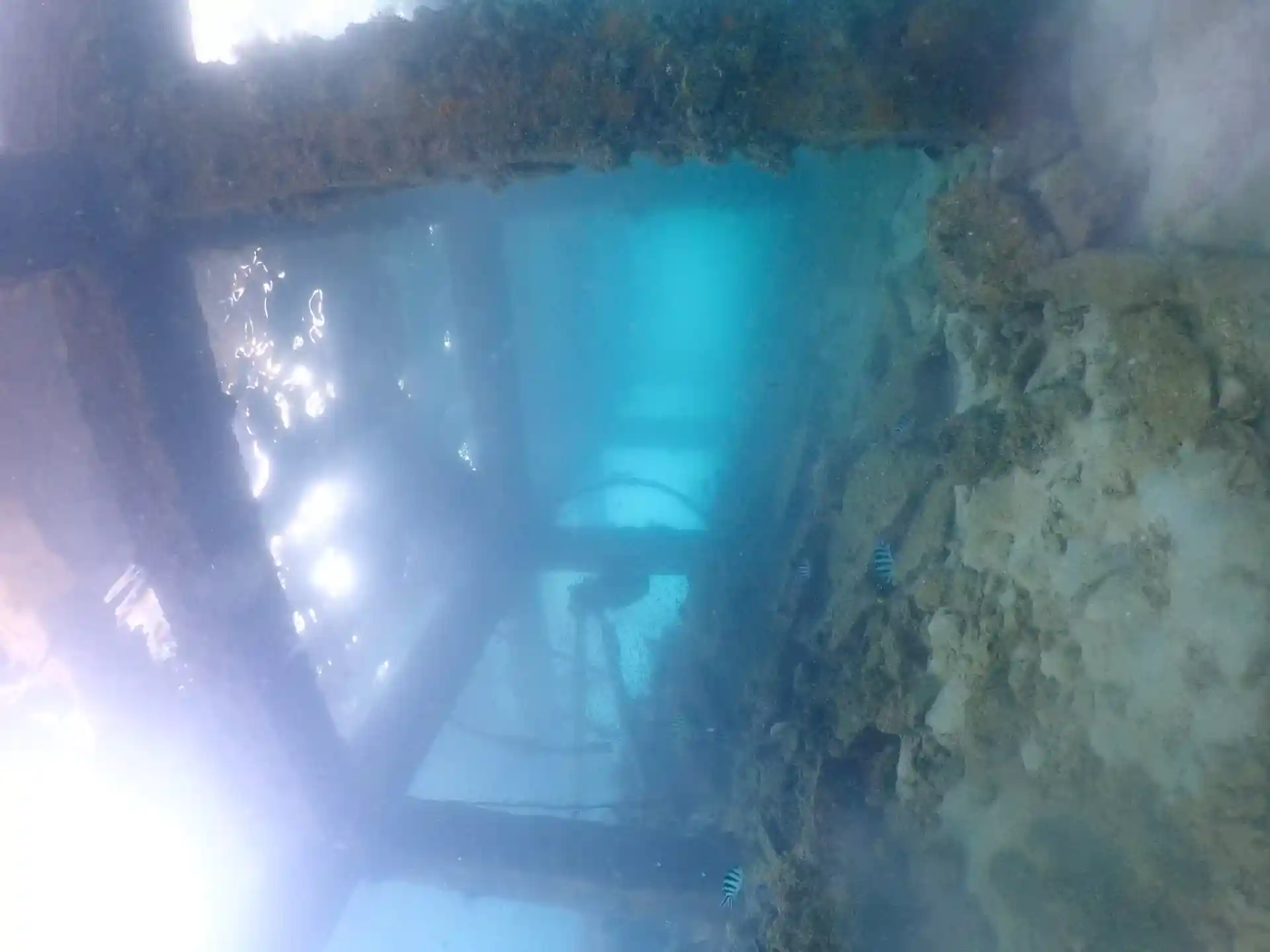 Dive site photo