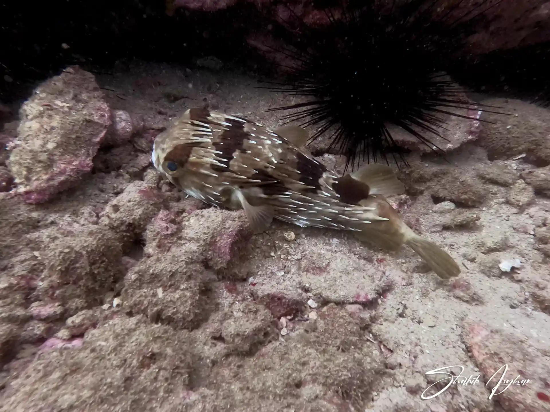 다이빙 포인트 사진