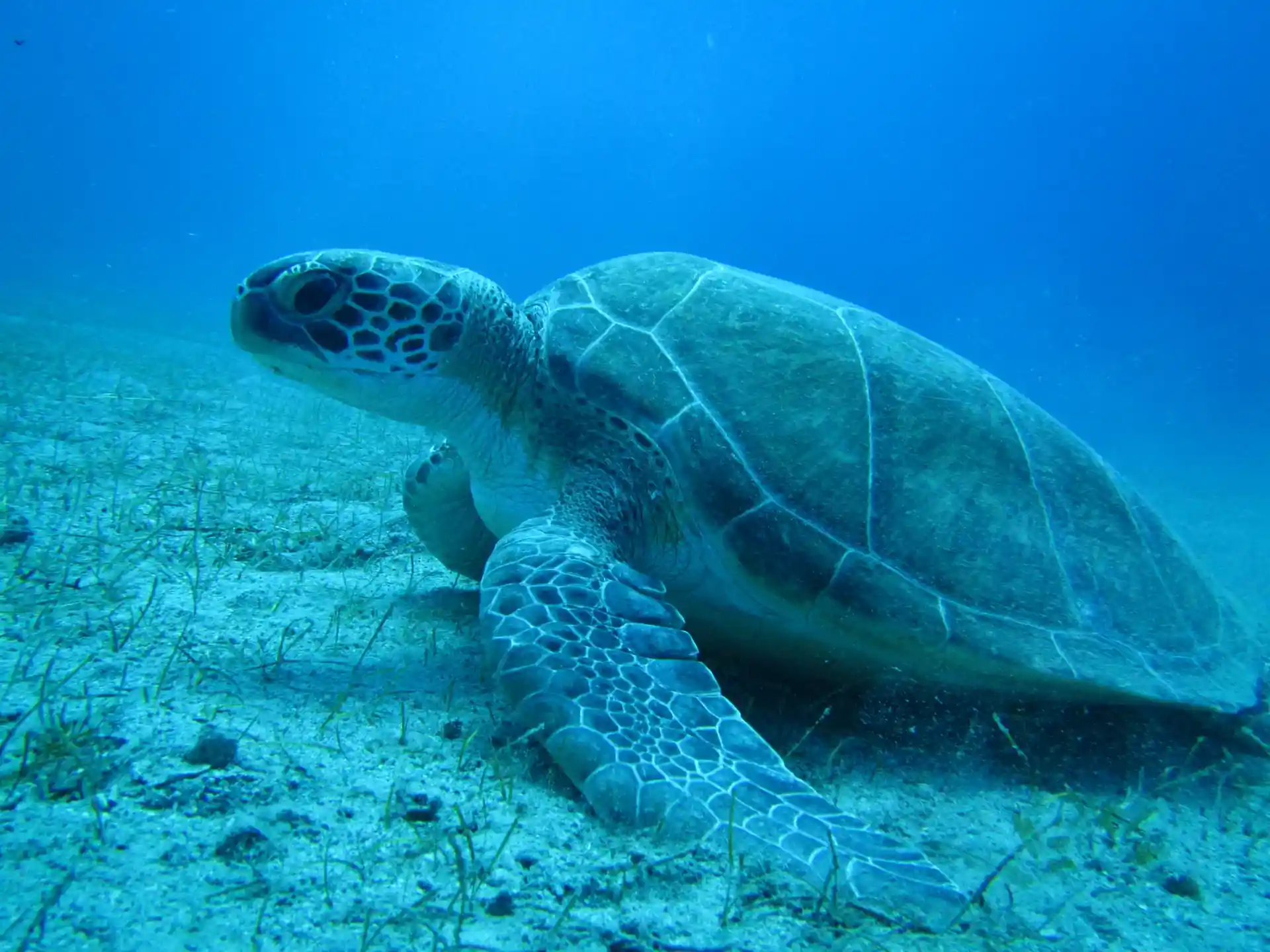 Dive site photo
