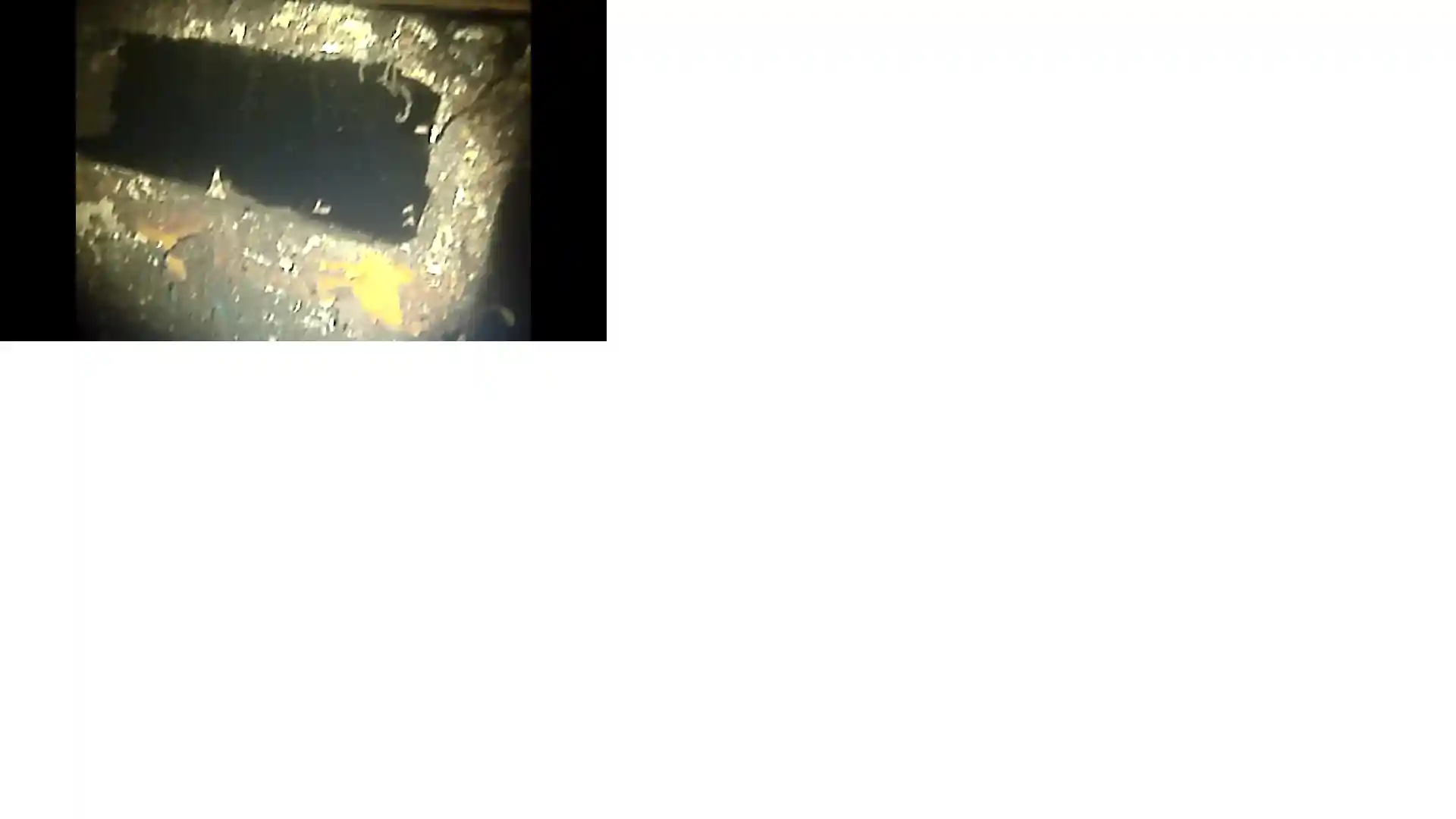 ダイビングサイトの写真