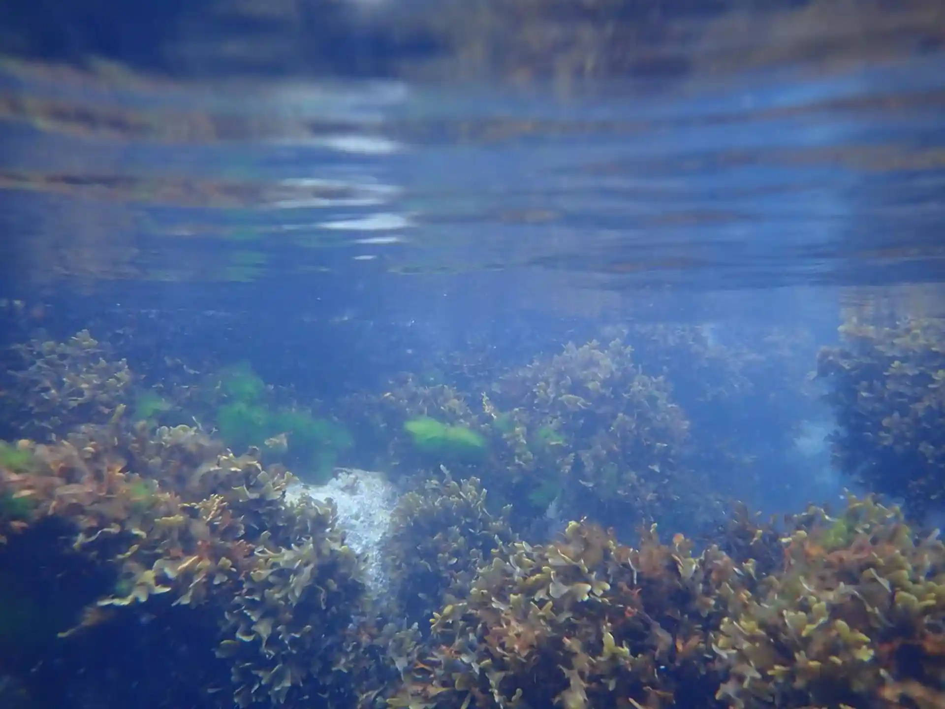 Foto de la actividad