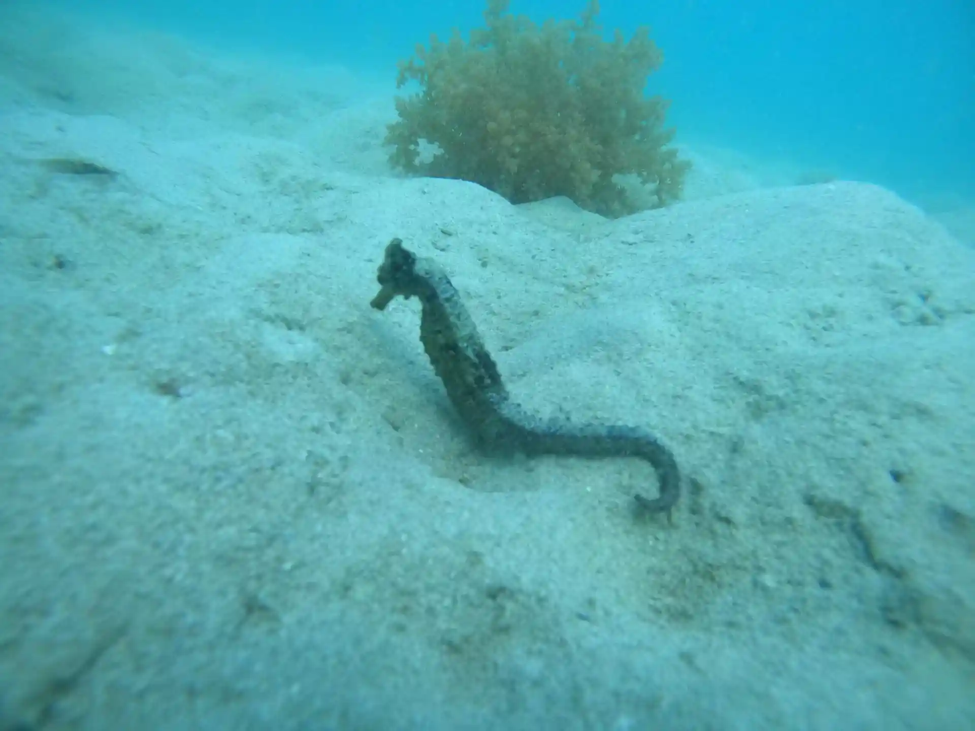Dive site photo