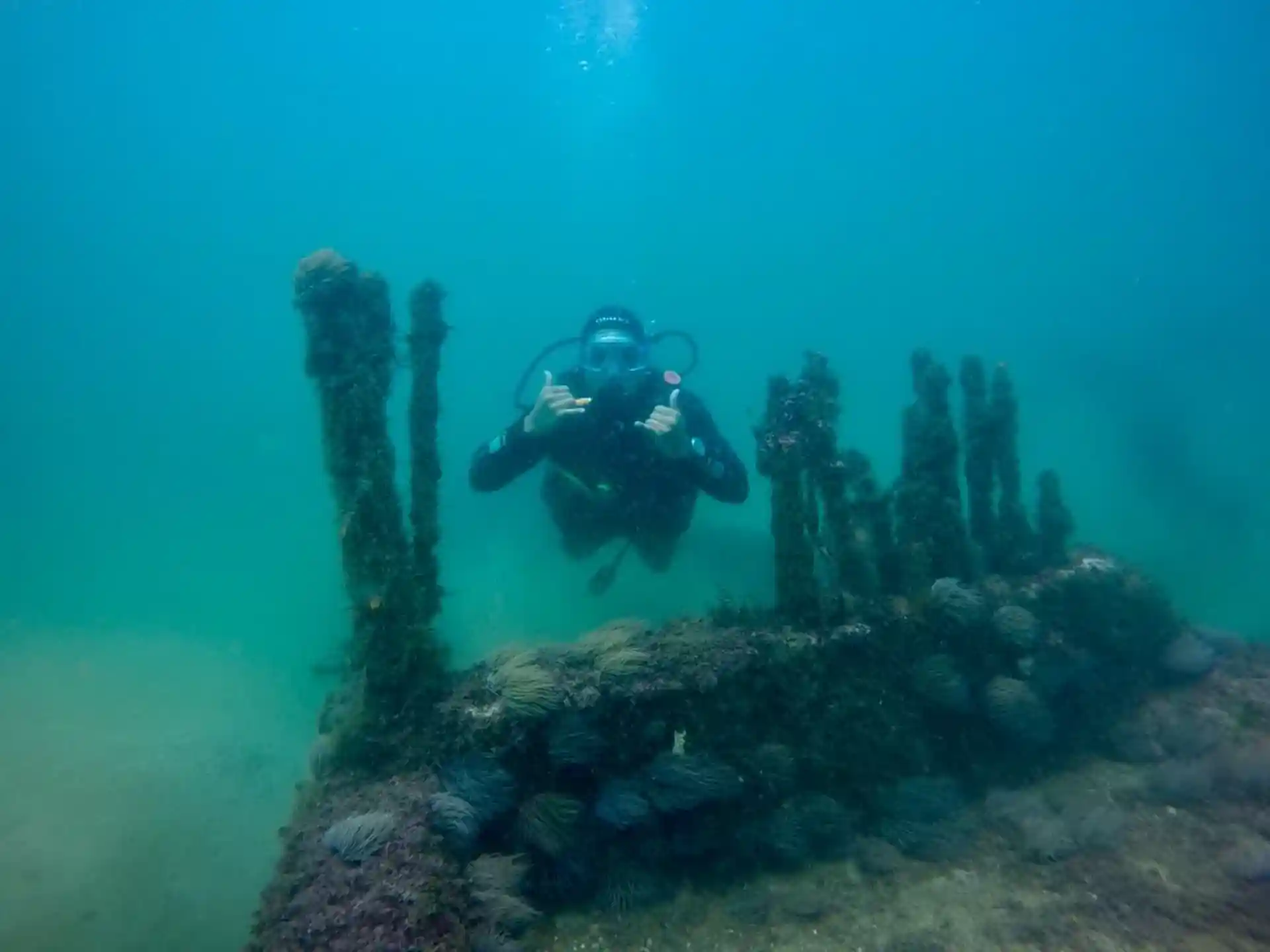 Dive site photo