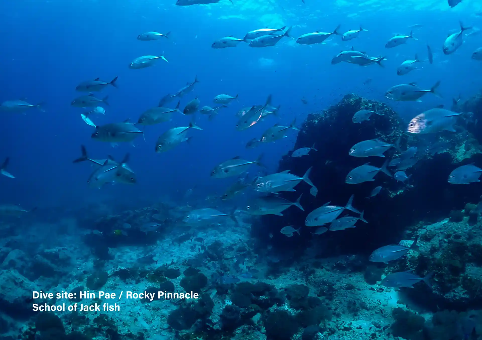 Dive site photo