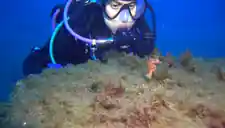 Dive center image
