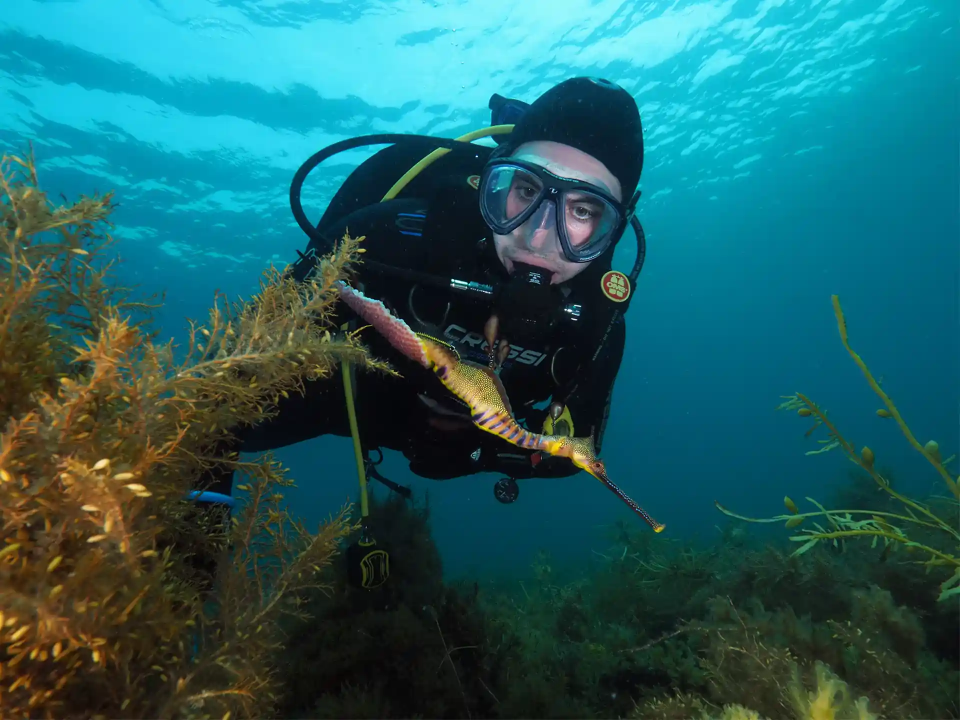Dive site photo