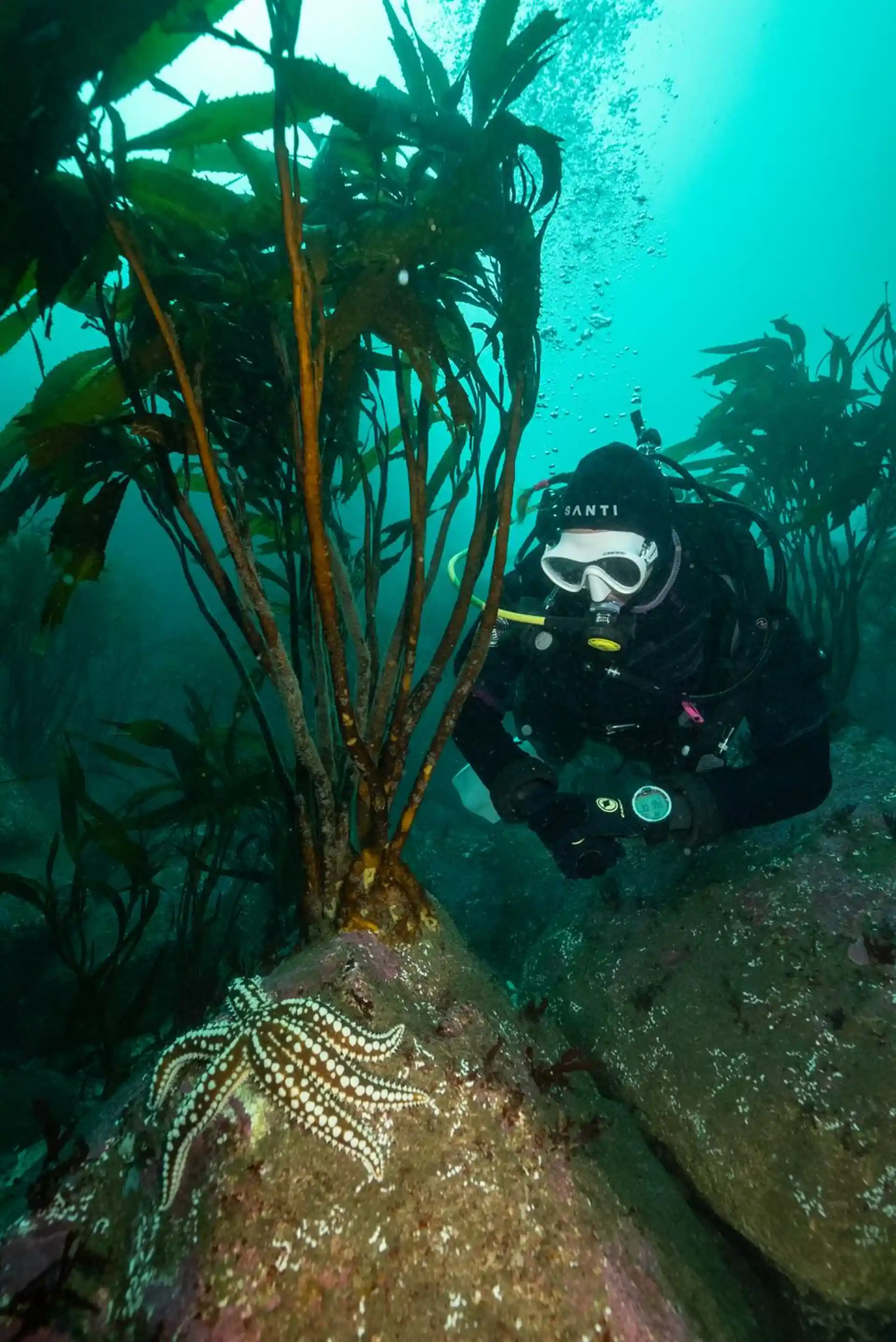 Dive site photo