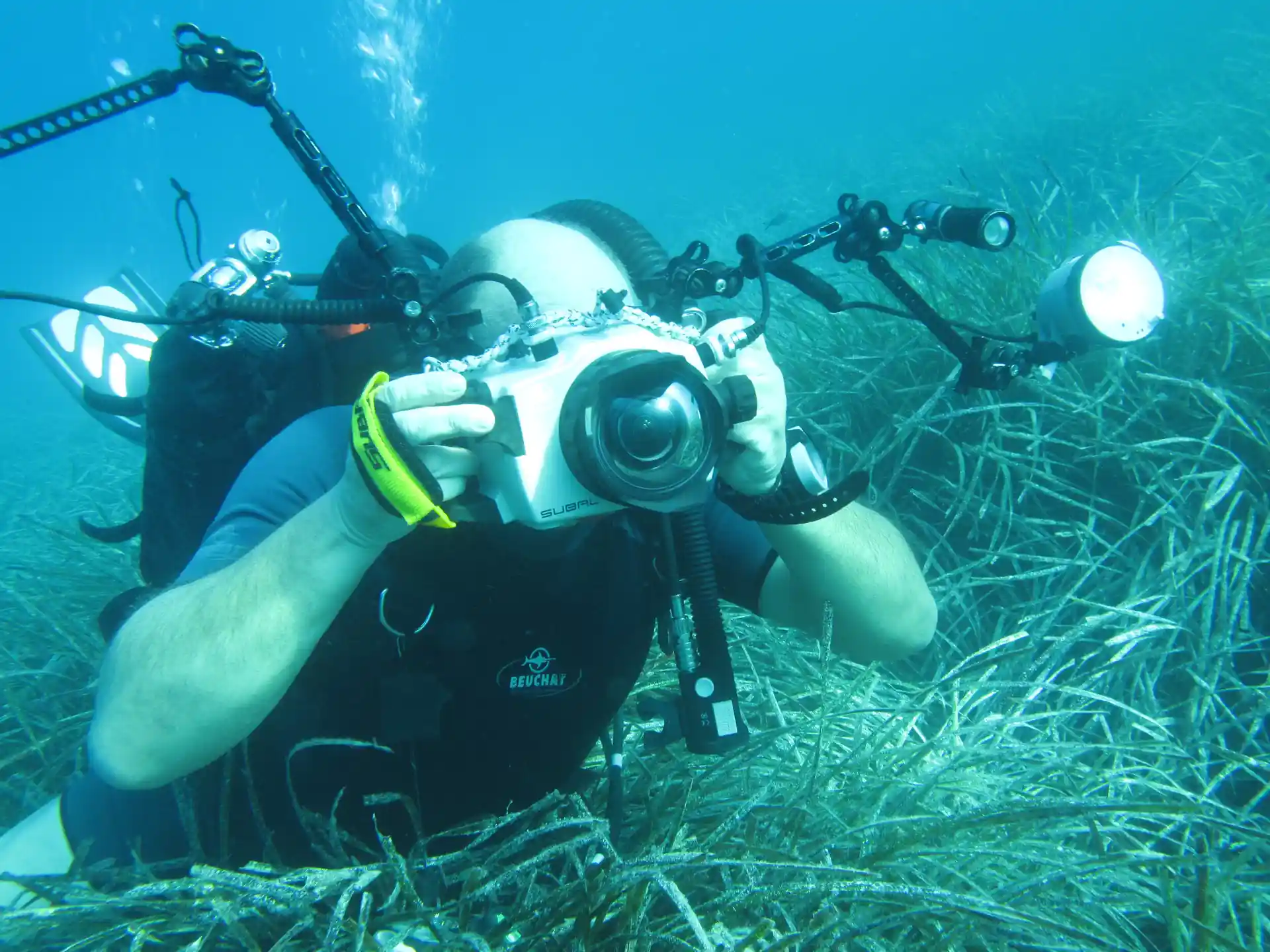 Foto de la actividad