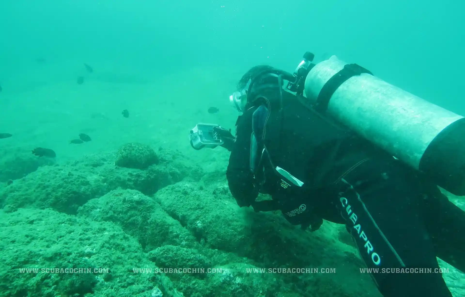 Photo du site de plongée