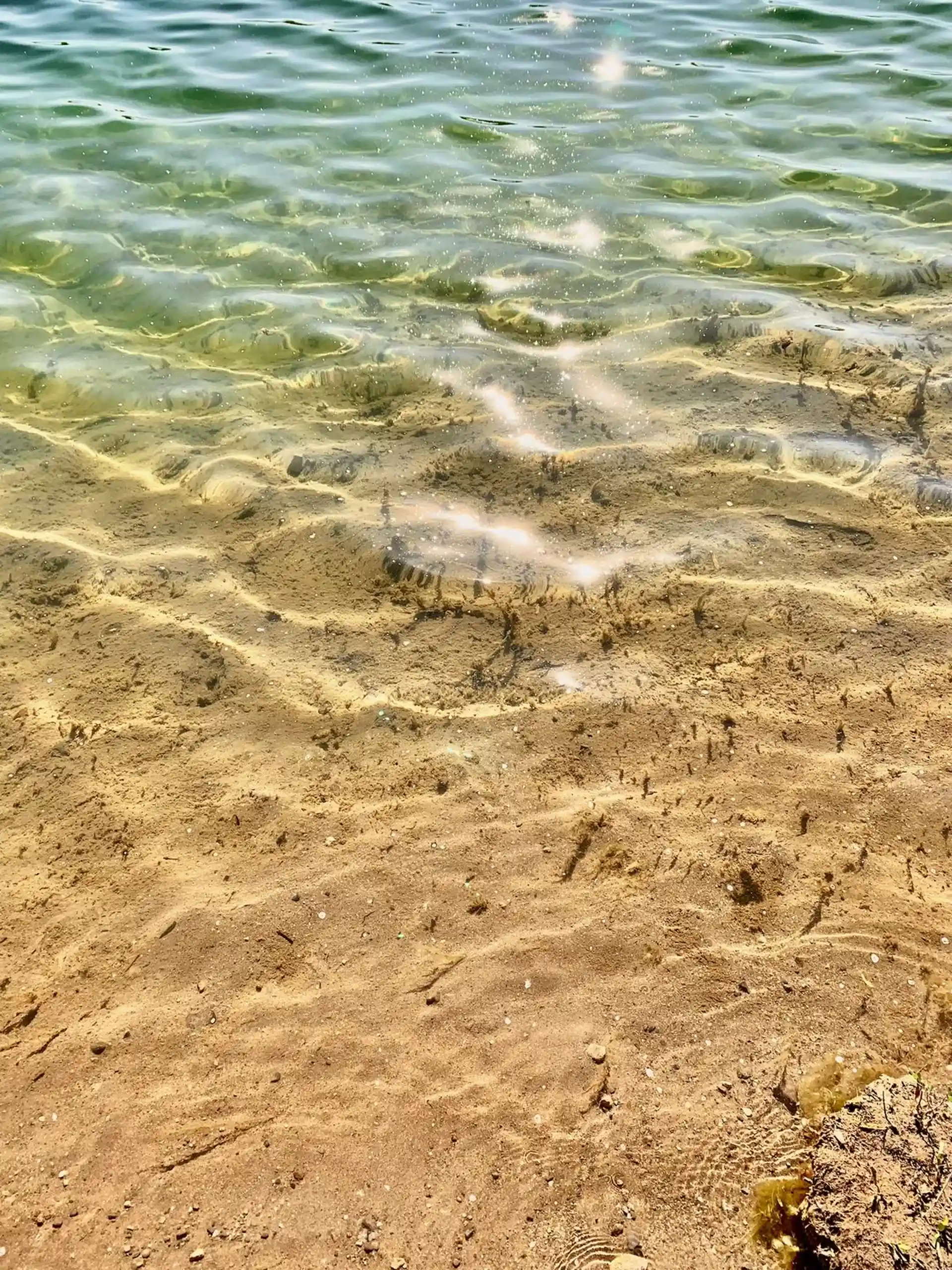 Dive site photo